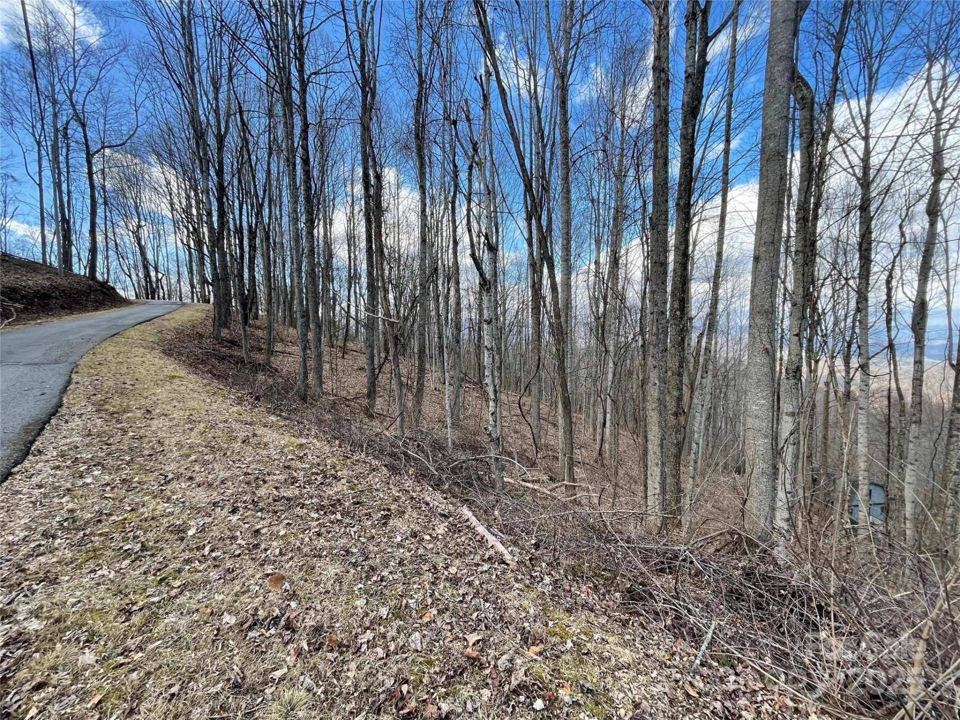 Property image 4 at 00 Old Country Road, Waynesville, NC 28786