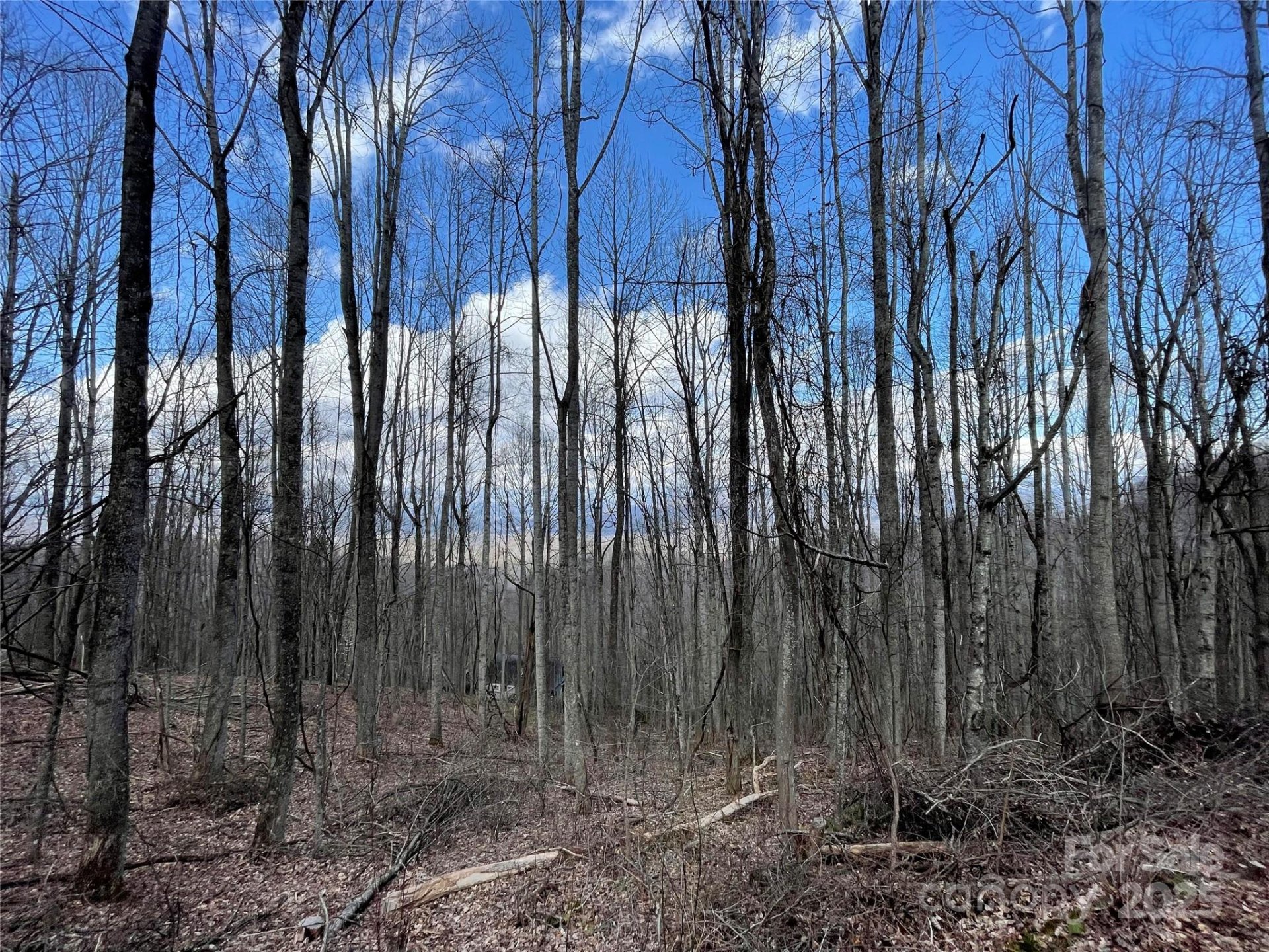 Property image 5 at 00 Old Country Road, Waynesville, NC 28786