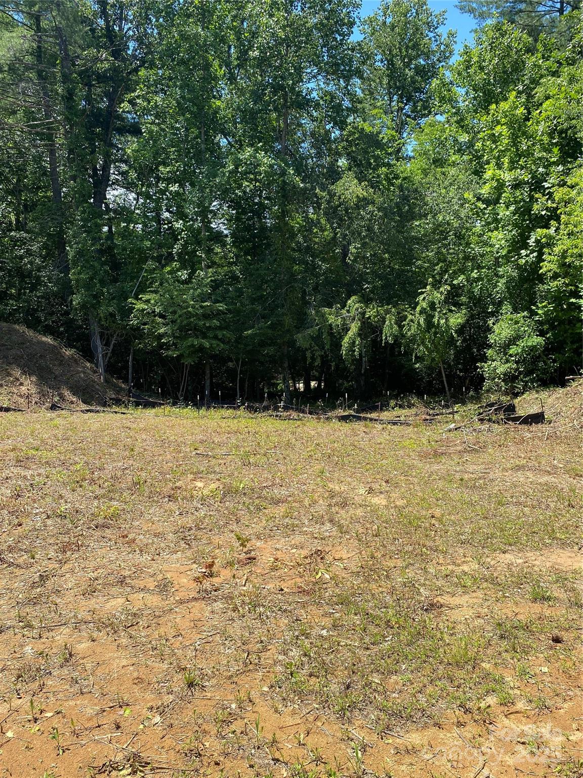 Property image 5 at 166 Williams Meadow Loop, Hendersonville, NC 28739