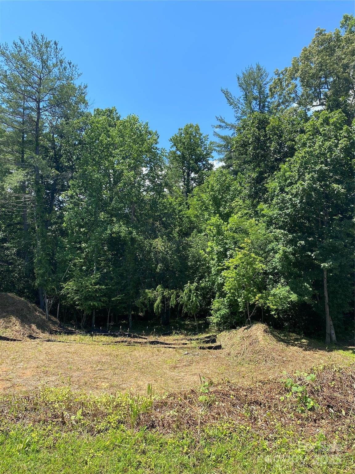 Property image 2 at 180 Williams Meadow Loop, Hendersonville, NC 28739