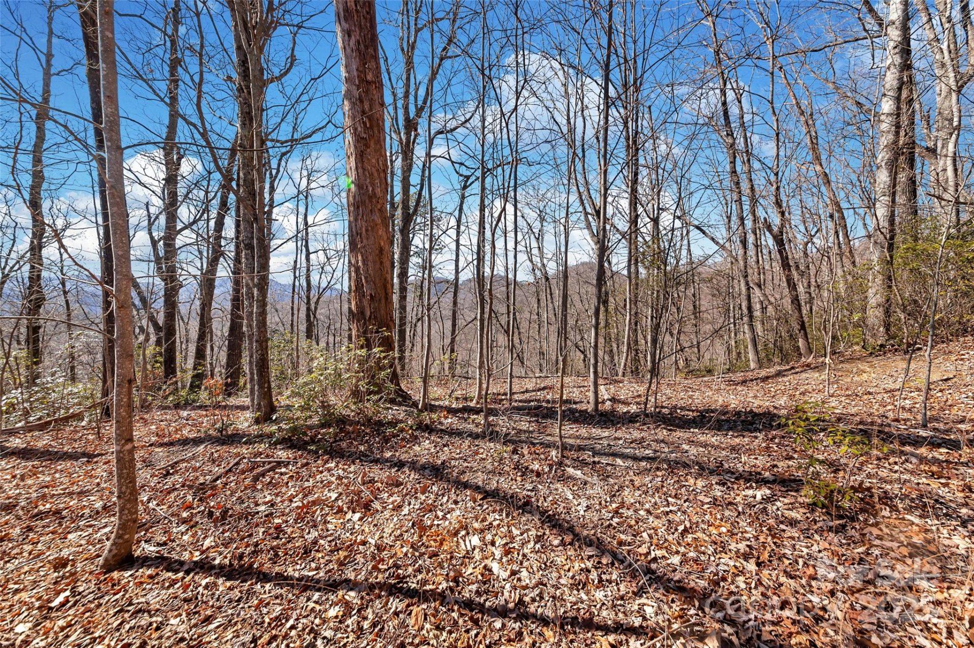 Property image 4 at 965 Wolf Pen Road, Old Fort, NC 28762