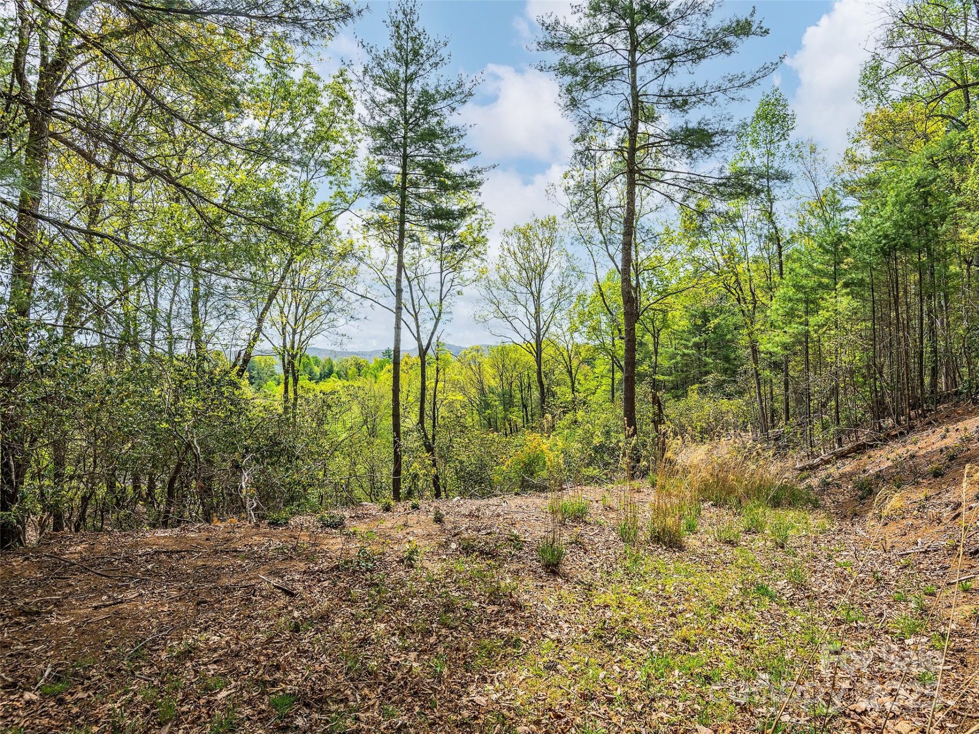 The Wilson Farm, Hendersonville Community