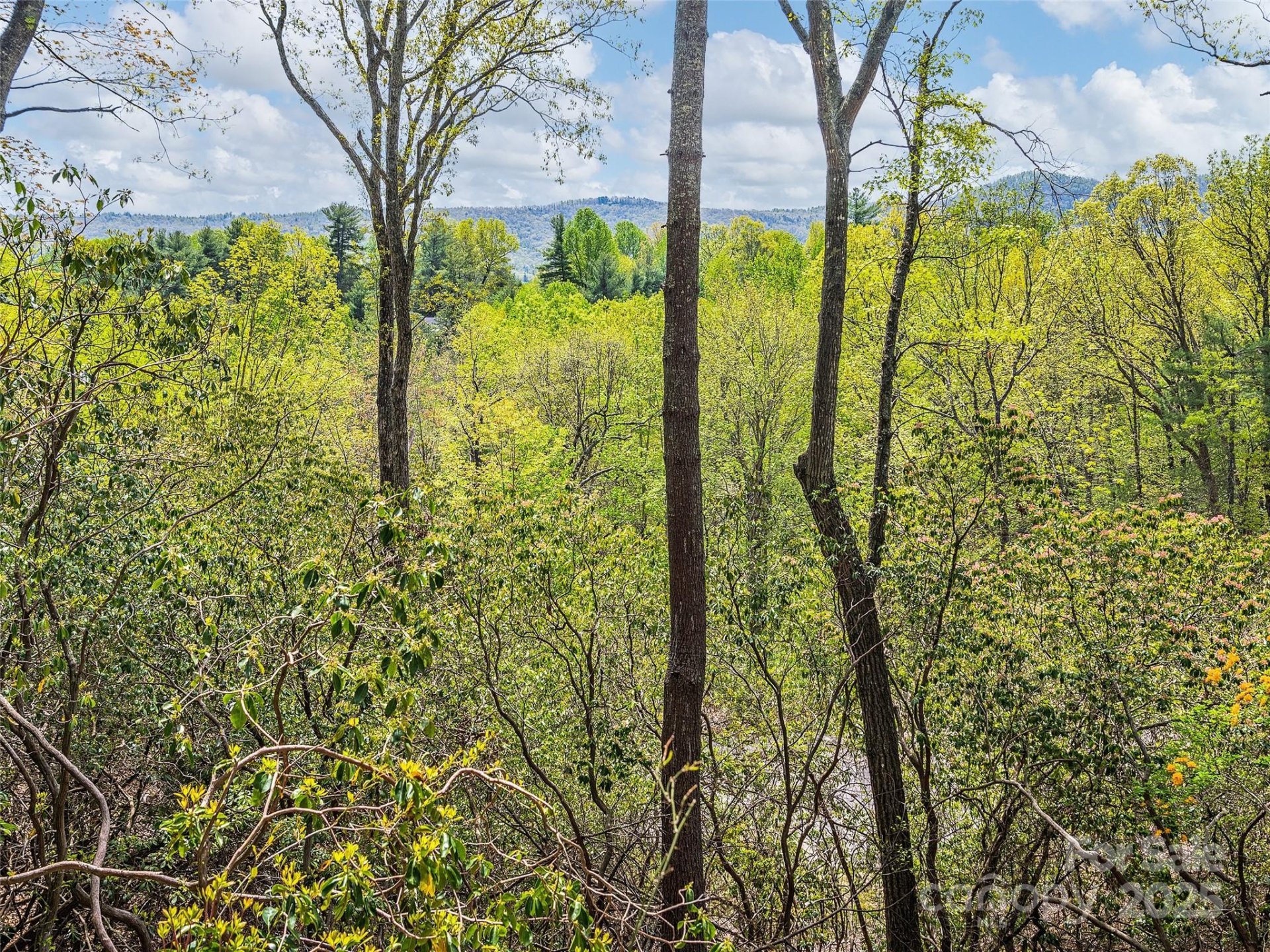 Property image 2 at Lot 56 Winterberry Drive, Hendersonville, NC 28739