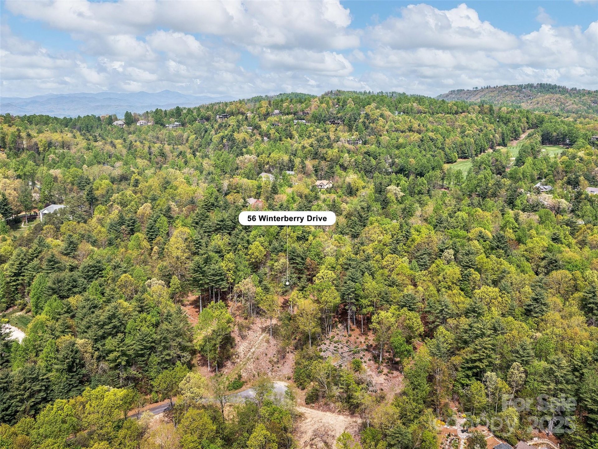 Property image 3 at Lot 56 Winterberry Drive, Hendersonville, NC 28739