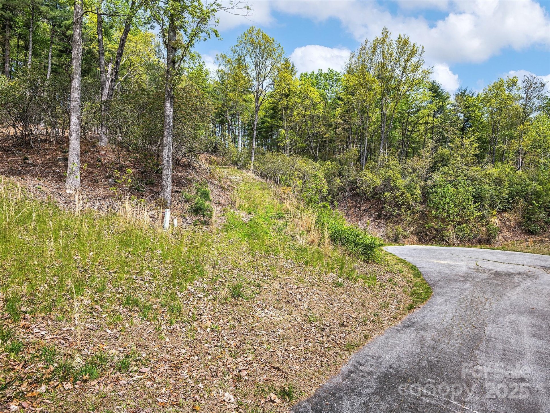 Property image 5 at Lot 56 Winterberry Drive, Hendersonville, NC 28739