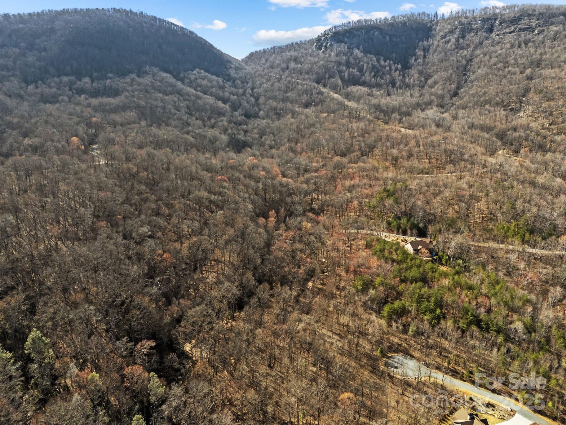 Property image 3 at 000 Stafford Lane, Mill Spring, NC 28756