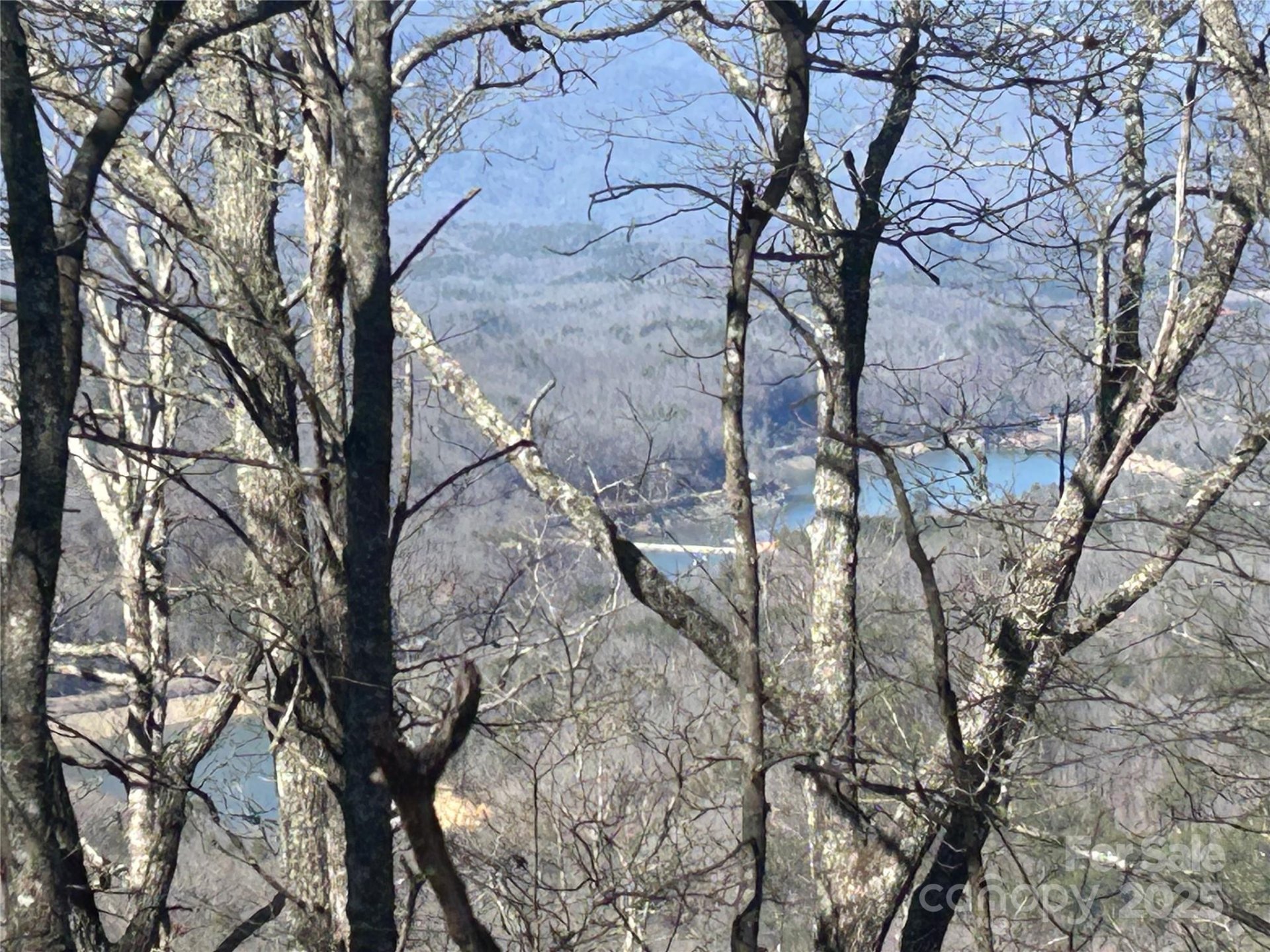 Property image 3 at 0 Grouse Drive, Bryson City, NC 28713