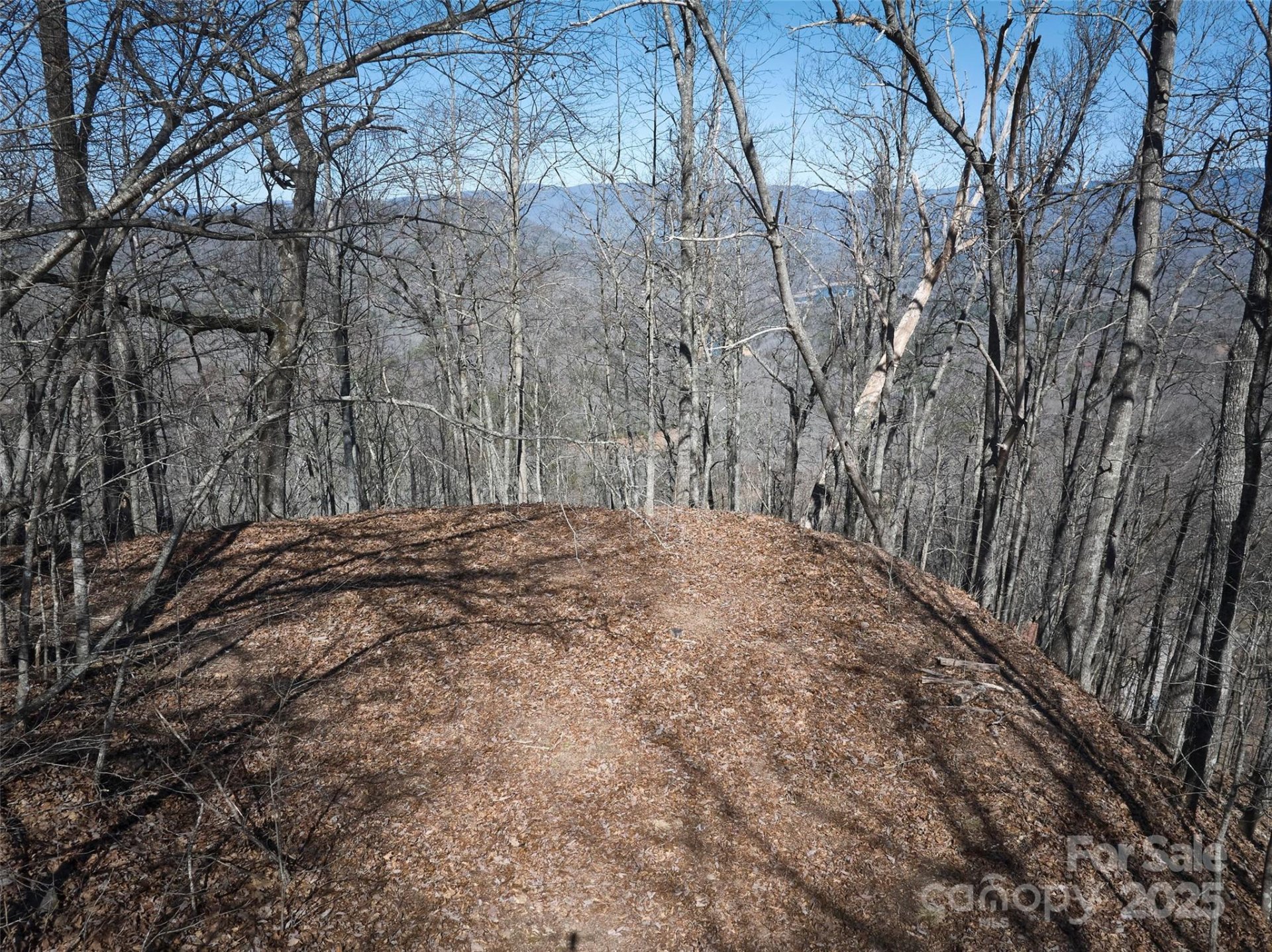 Property image 5 at 0 Grouse Drive, Bryson City, NC 28713