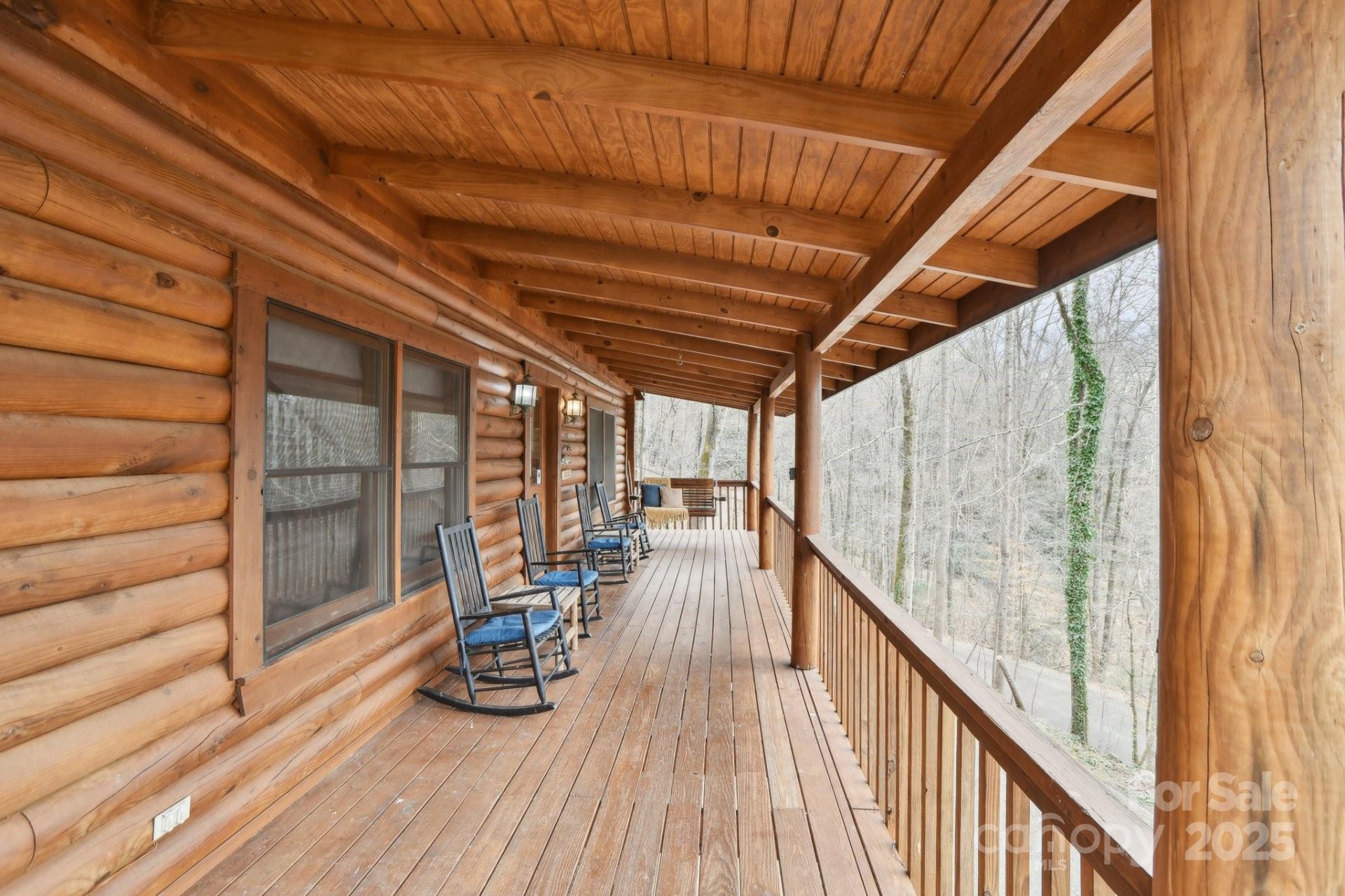 Property image 5 at 217 Chalet Road, Lake Lure, NC 28746