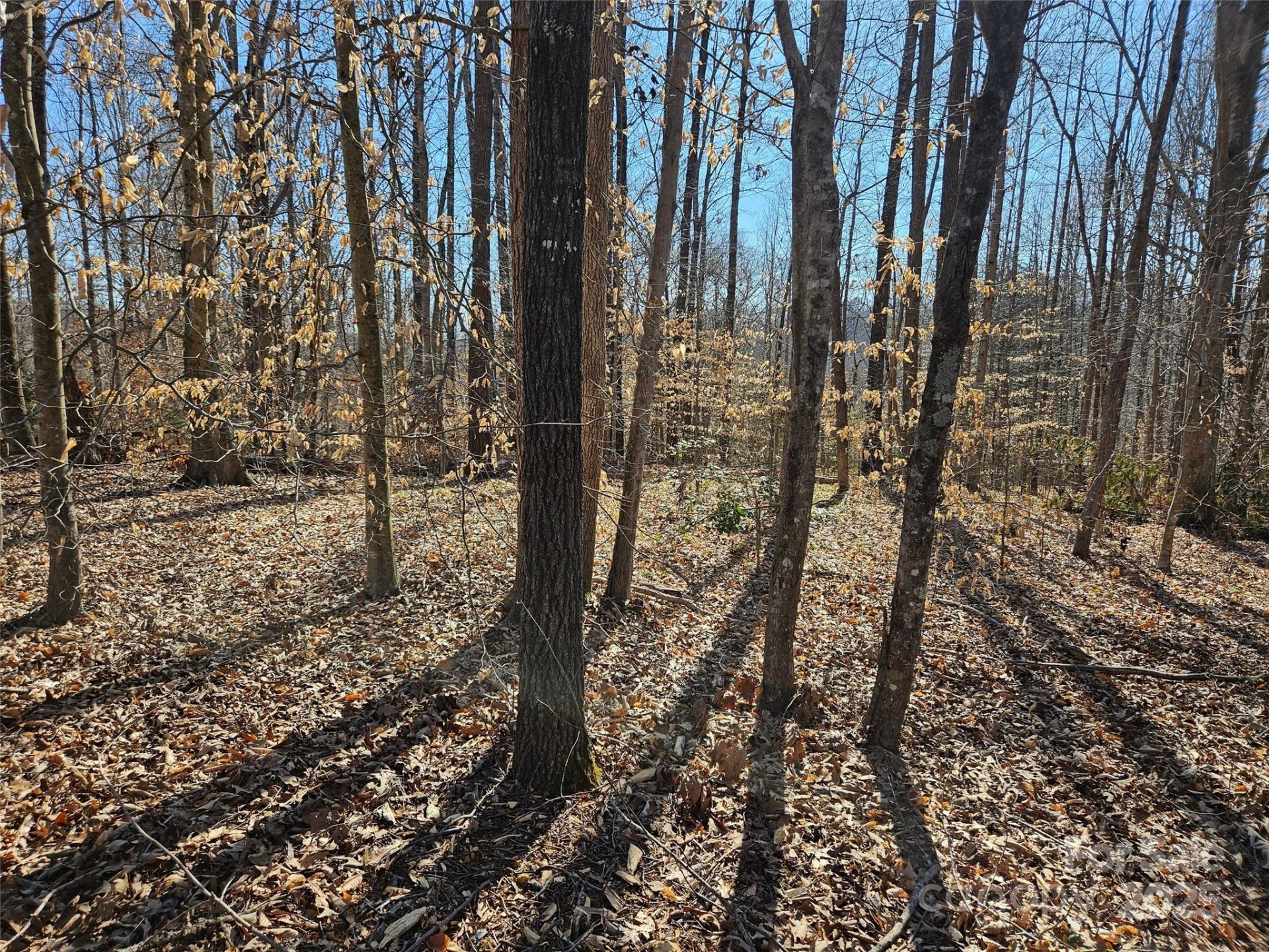 Property at 0 General Griffith Circle, Rutherfordton, NC 28139