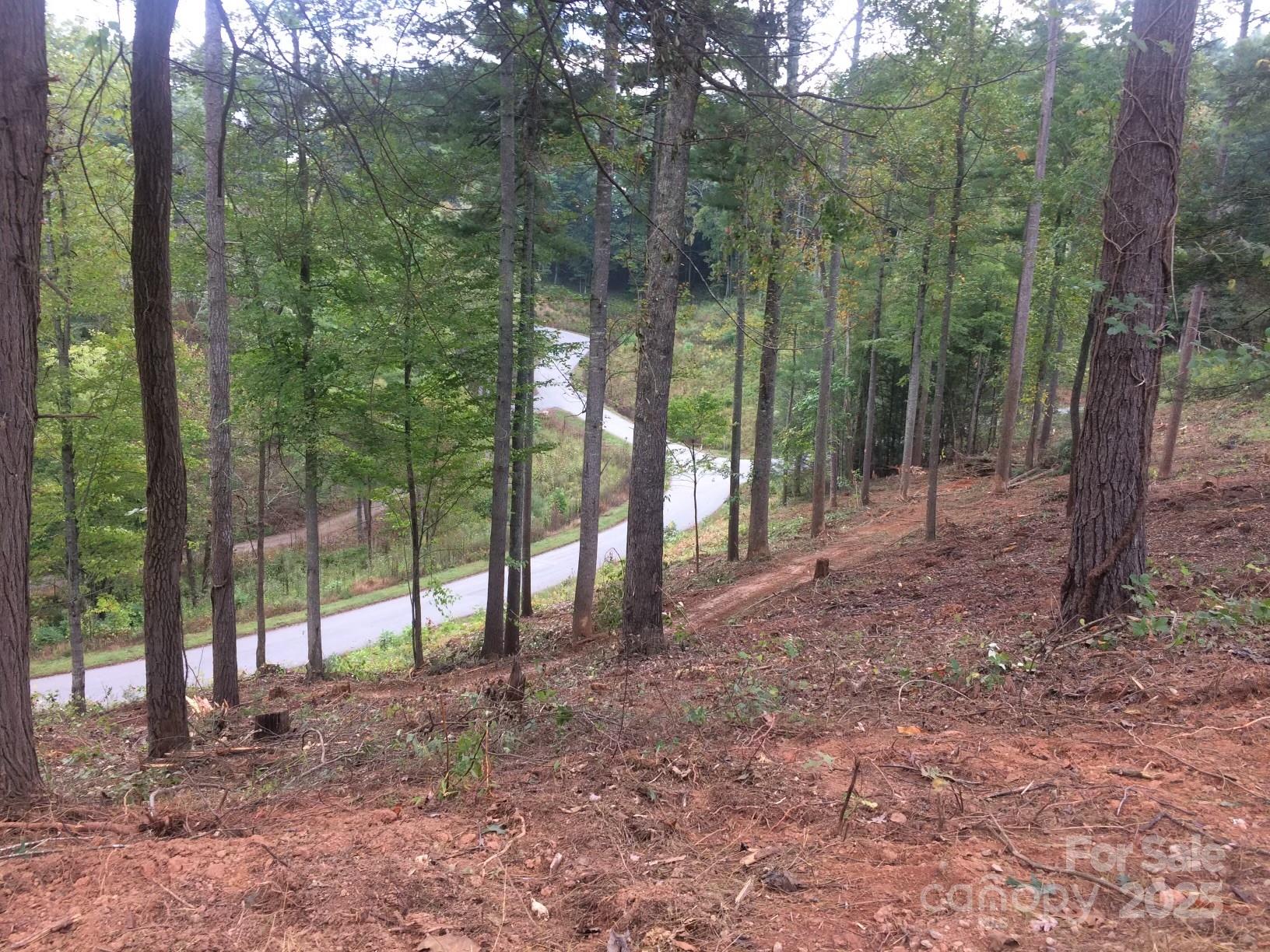 Property image 3 at 31 Timber Hill Drive, Leicester, NC 28748