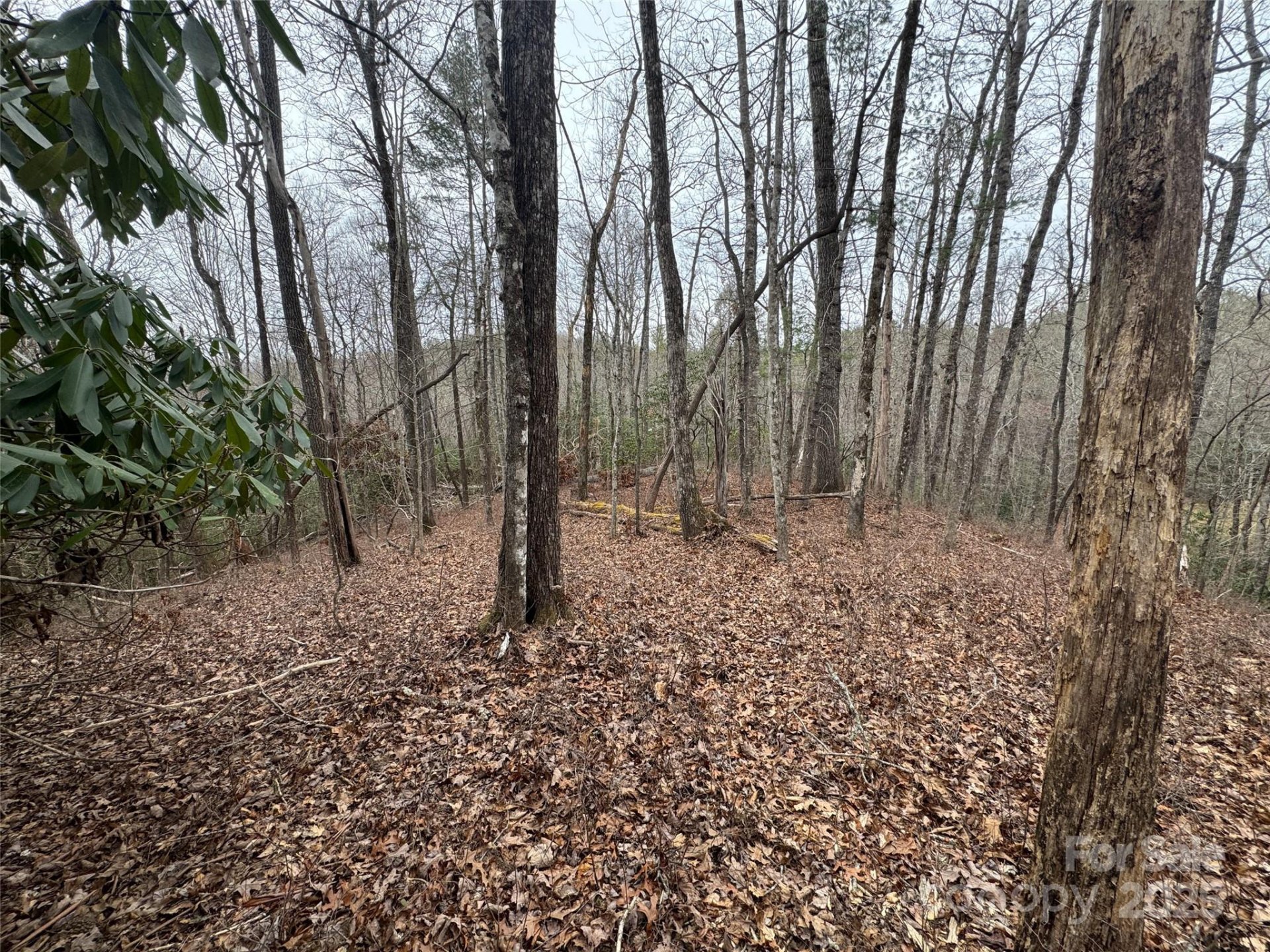 Property image 1 at 999 Moon Circle, Brevard, NC 28712