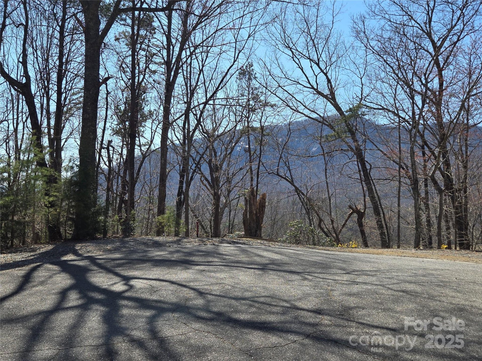 Property image 2 at Lot 57 Banjo Court, Lake Lure, NC 28746
