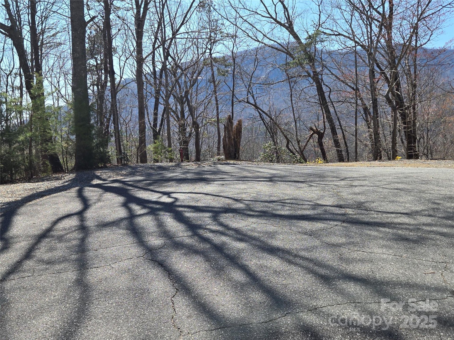 Property image 4 at Lot 57 Banjo Court, Lake Lure, NC 28746