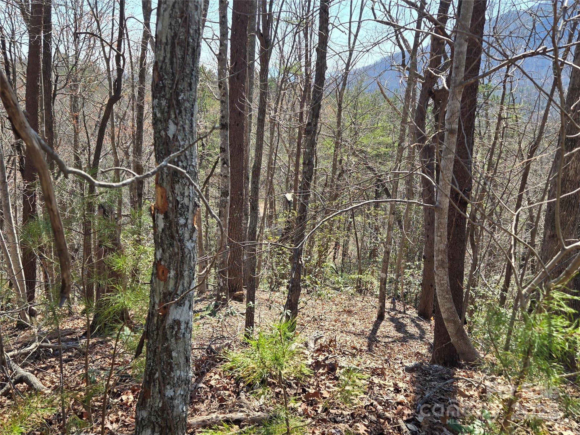 Property image 5 at Lot 57 Banjo Court, Lake Lure, NC 28746