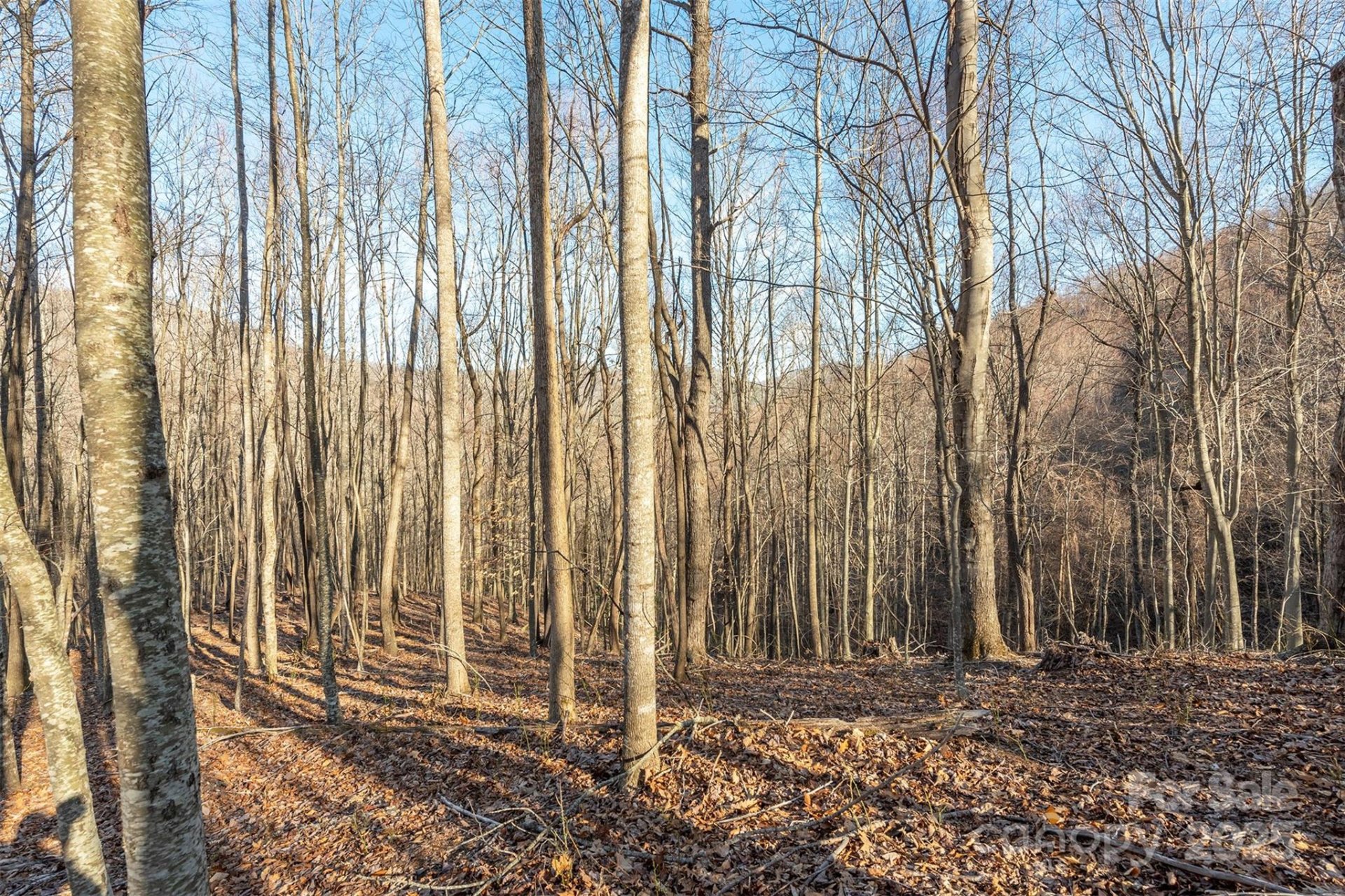 Property image 3 at 885 Stoney Stream Lane, Arden, NC 28704