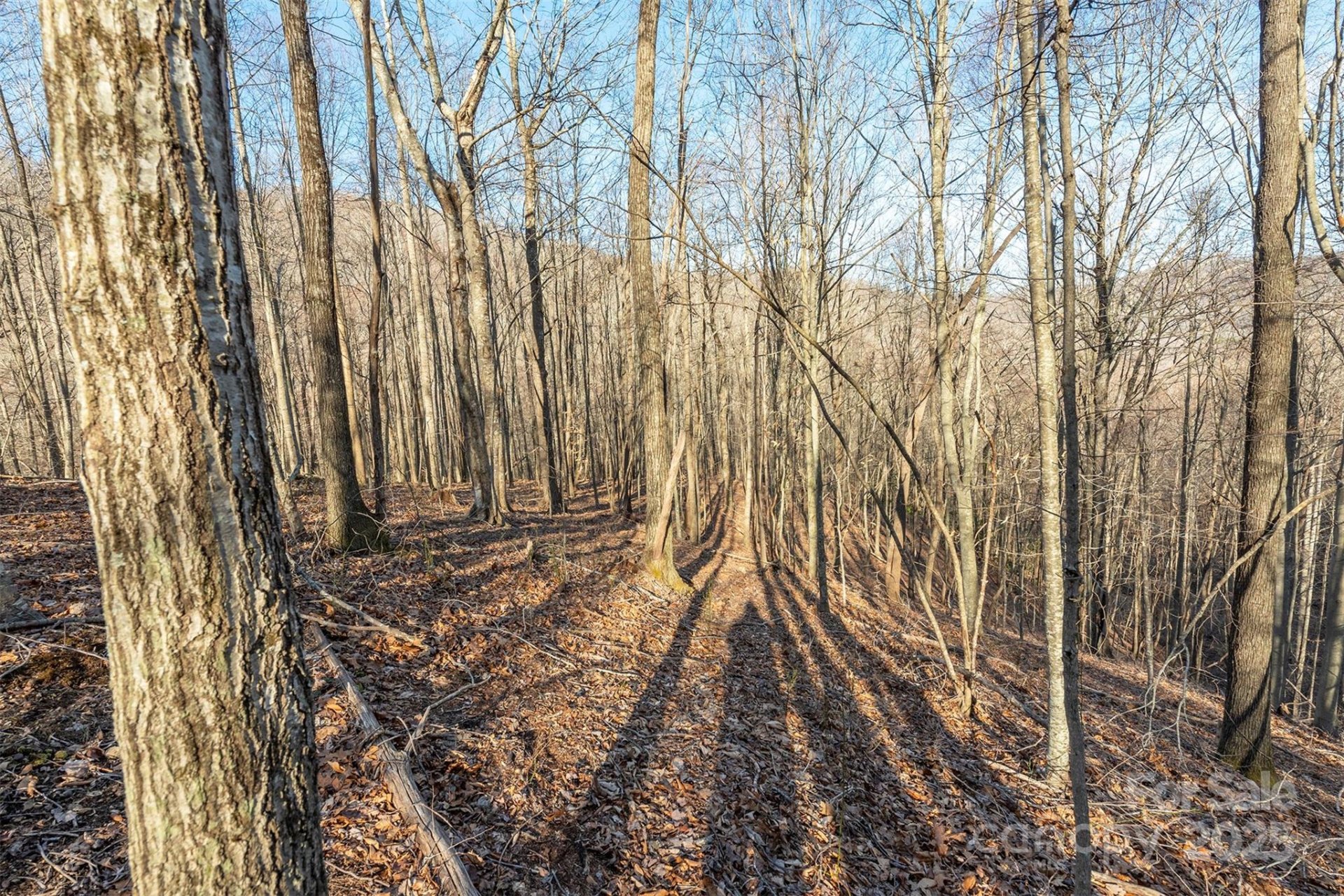 Property image 4 at 885 Stoney Stream Lane, Arden, NC 28704