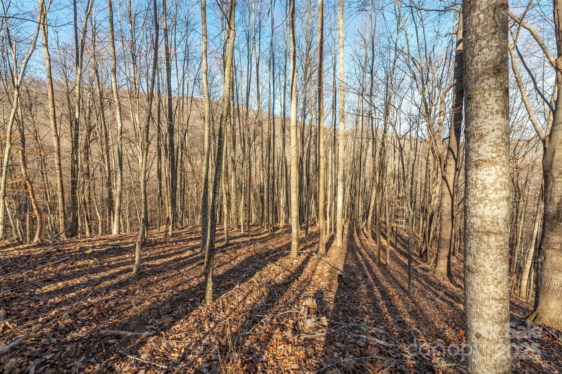 Property image 5 at 885 Stoney Stream Lane, Arden, NC 28704