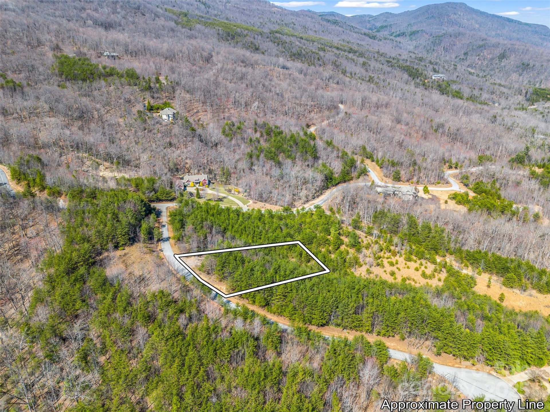 Property image 2 at 151 Birkdale Drive, Mill Spring, NC 28756