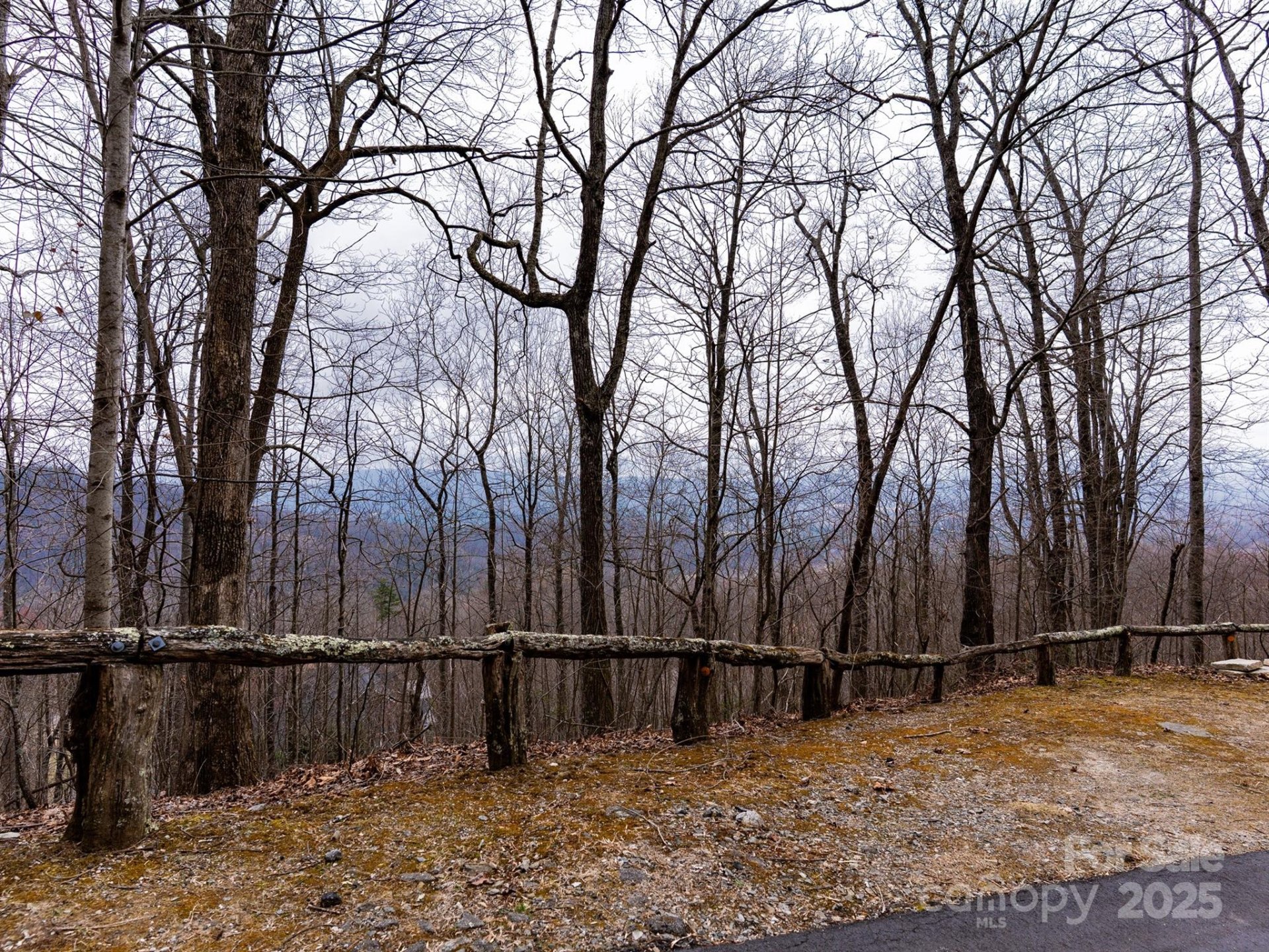 Property image 3 at 630 Somersby Parkway, Hendersonville, NC 28739
