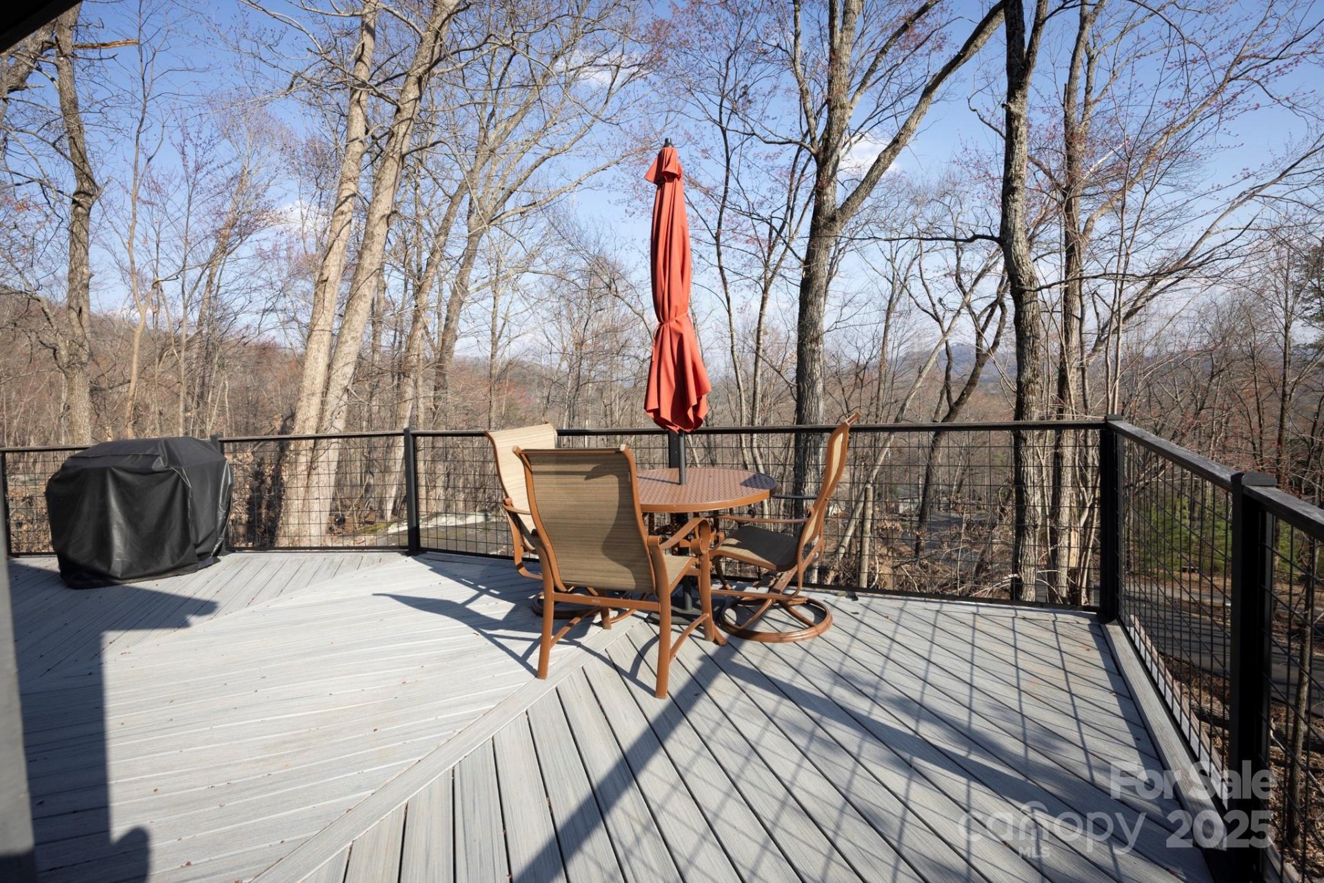 Property image 4 at 456 Youngs Mountain Drive, Lake Lure, NC 28746