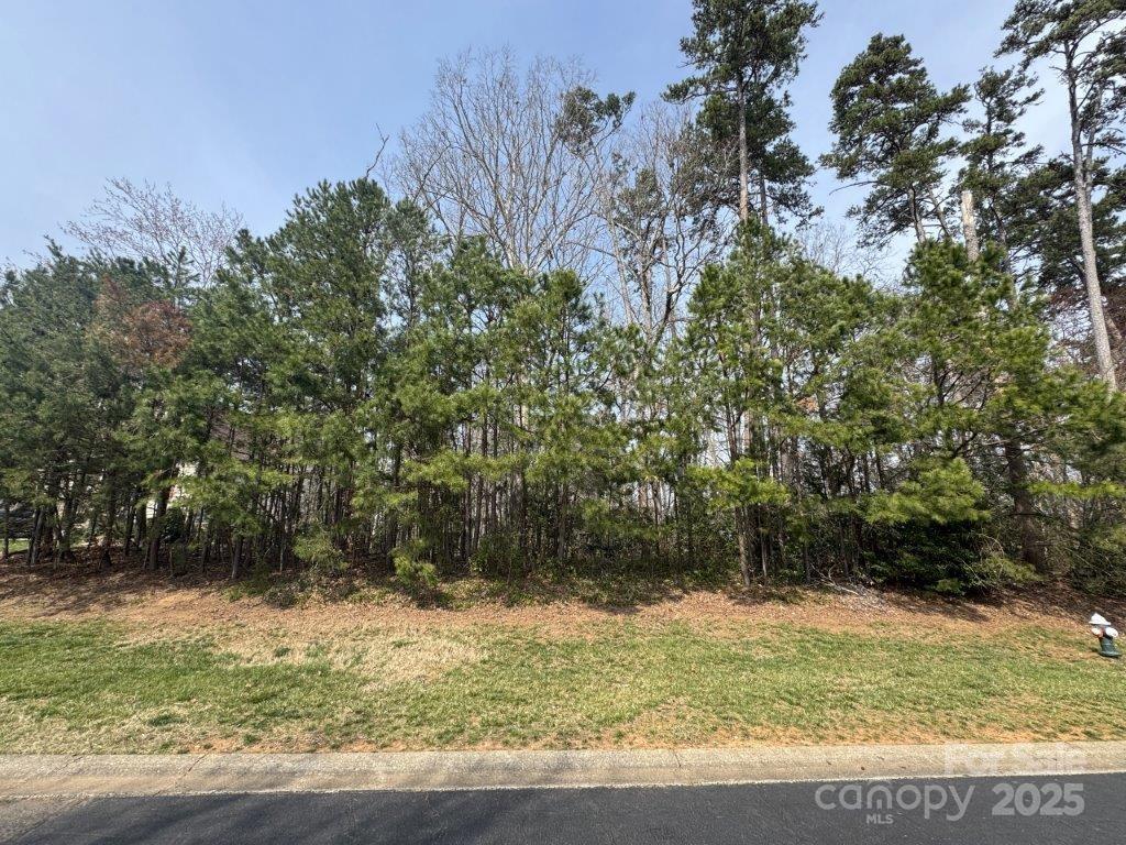 Property image 2 at 441 Glenbrook Springs None, New London, NC 28127