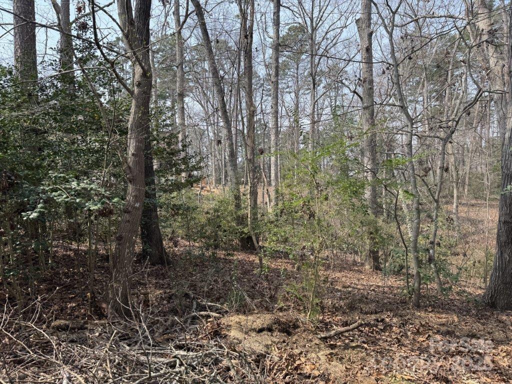 Property image 4 at 441 Glenbrook Springs None, New London, NC 28127