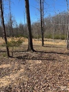 Property image 2 at 1639 1643 Mallard Bay Drive, York, SC 29745