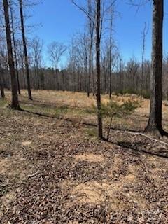 Property image 3 at 1639 1643 Mallard Bay Drive, York, SC 29745