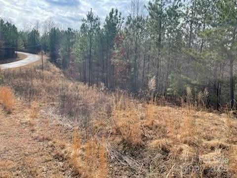 Property image 3 at 00 Creekside Circle, Rutherfordton, NC 28139