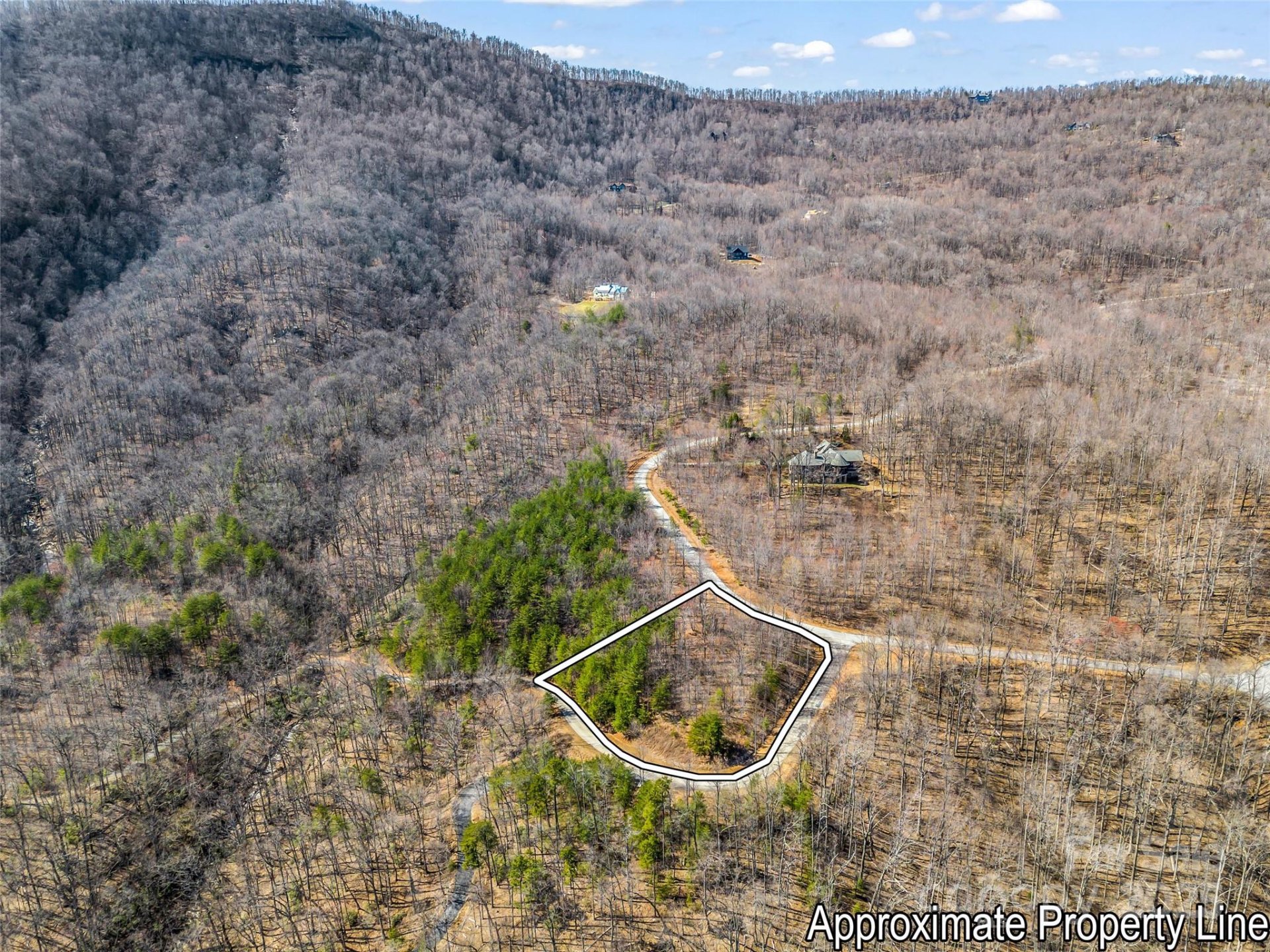 Property image 3 at 190 Cherry Hill None, Mill Spring, NC 28756