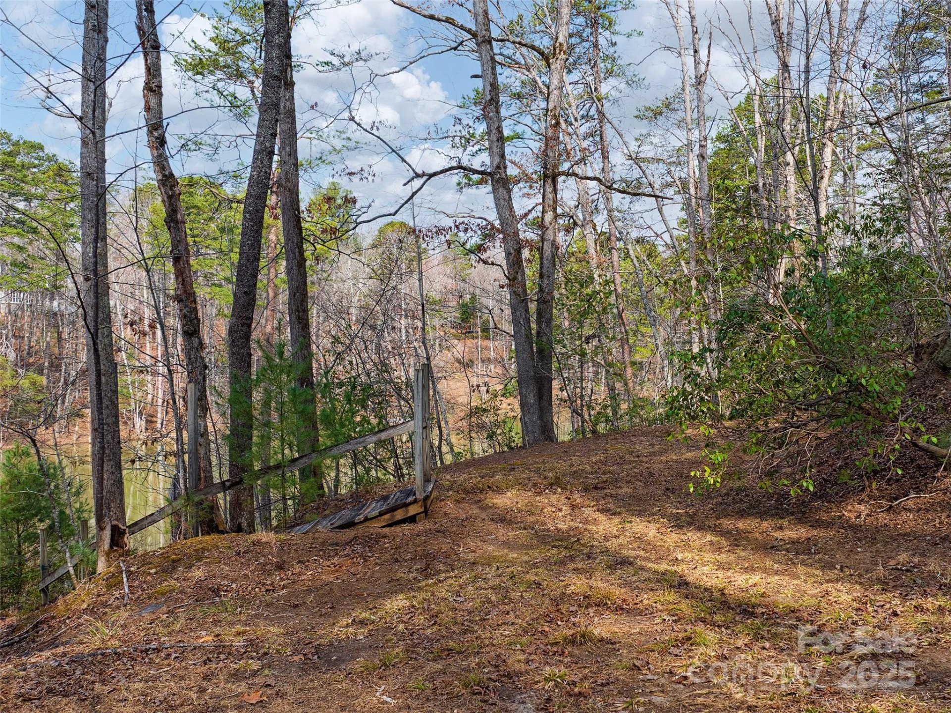 Property image 4 at Lot 27 South Cove Road, Mill Spring, NC 28756