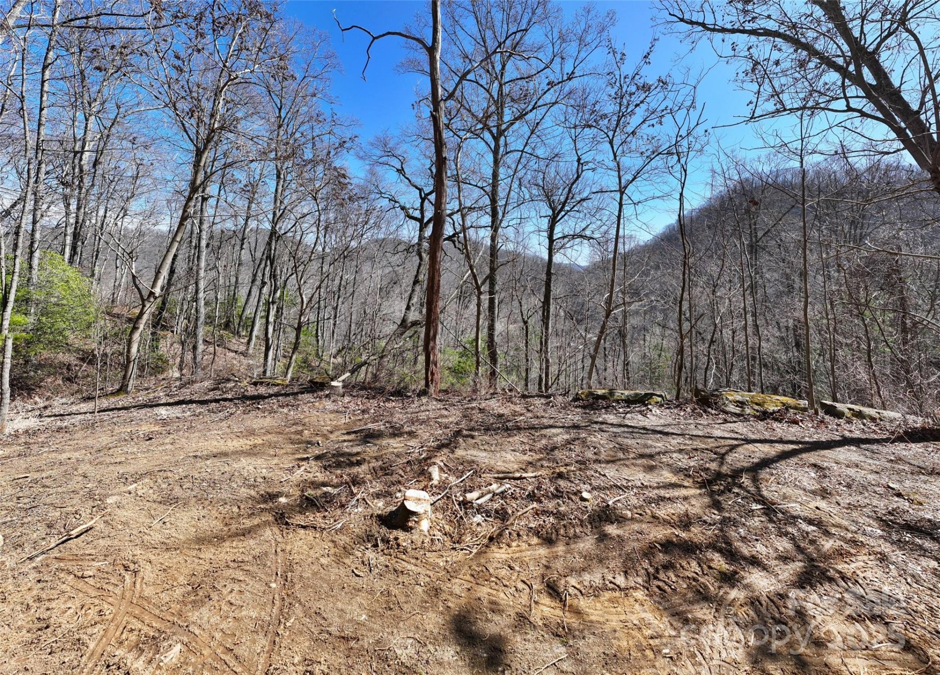 Property image 2 at 99999 Green Ridge Falls Road, Barnardsville, NC 28709