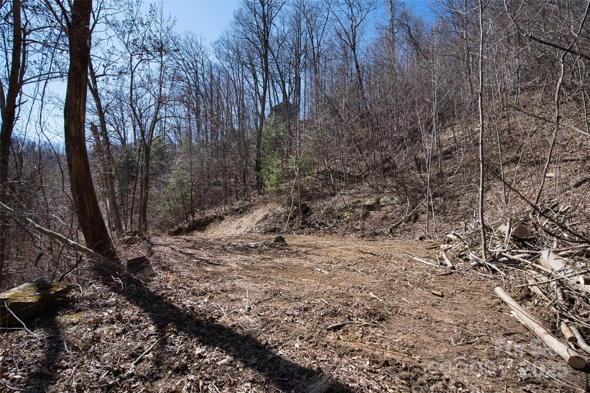 Property image 3 at 99999 Green Ridge Falls Road, Barnardsville, NC 28709