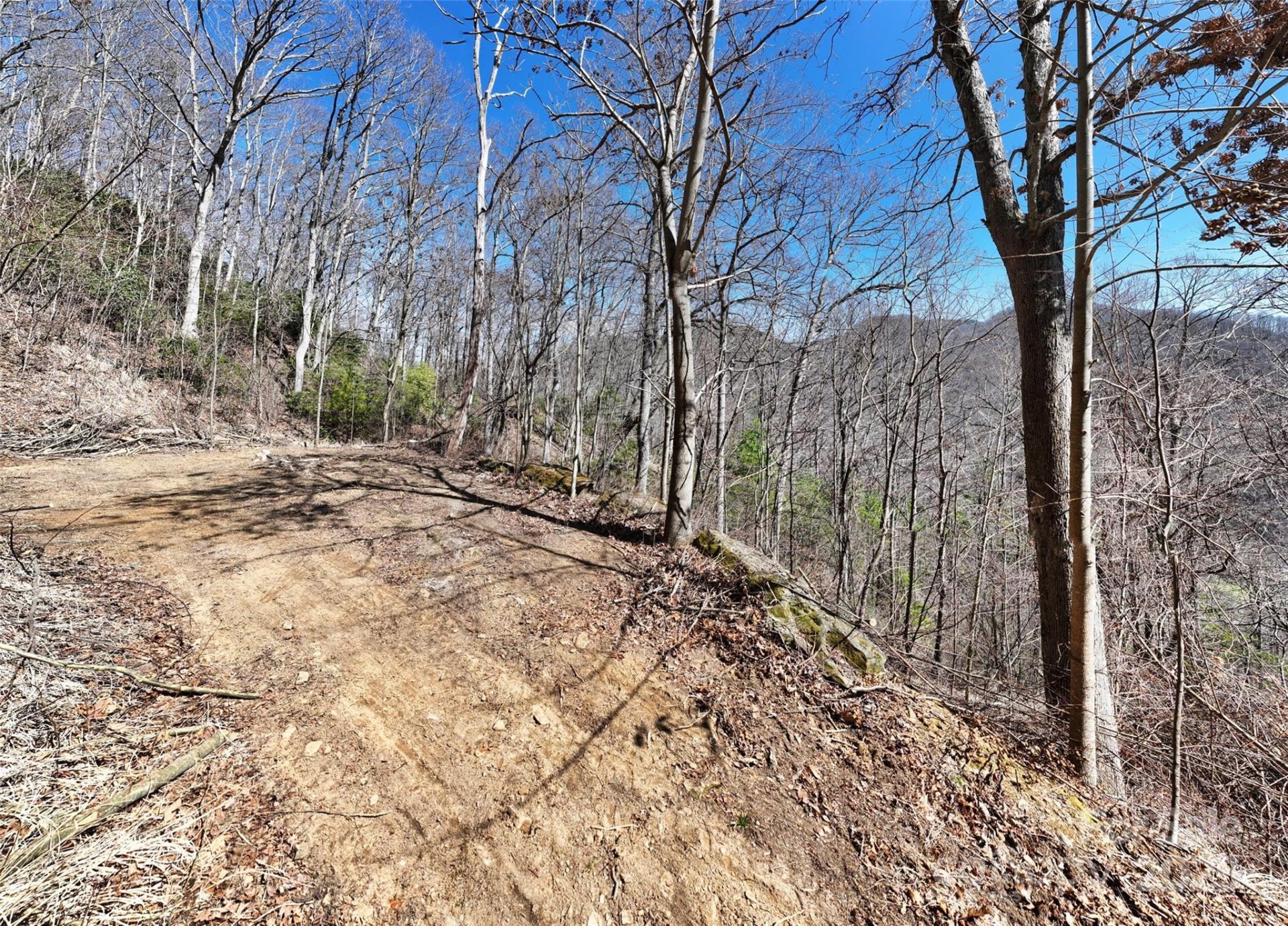 Property image 4 at 99999 Green Ridge Falls Road, Barnardsville, NC 28709