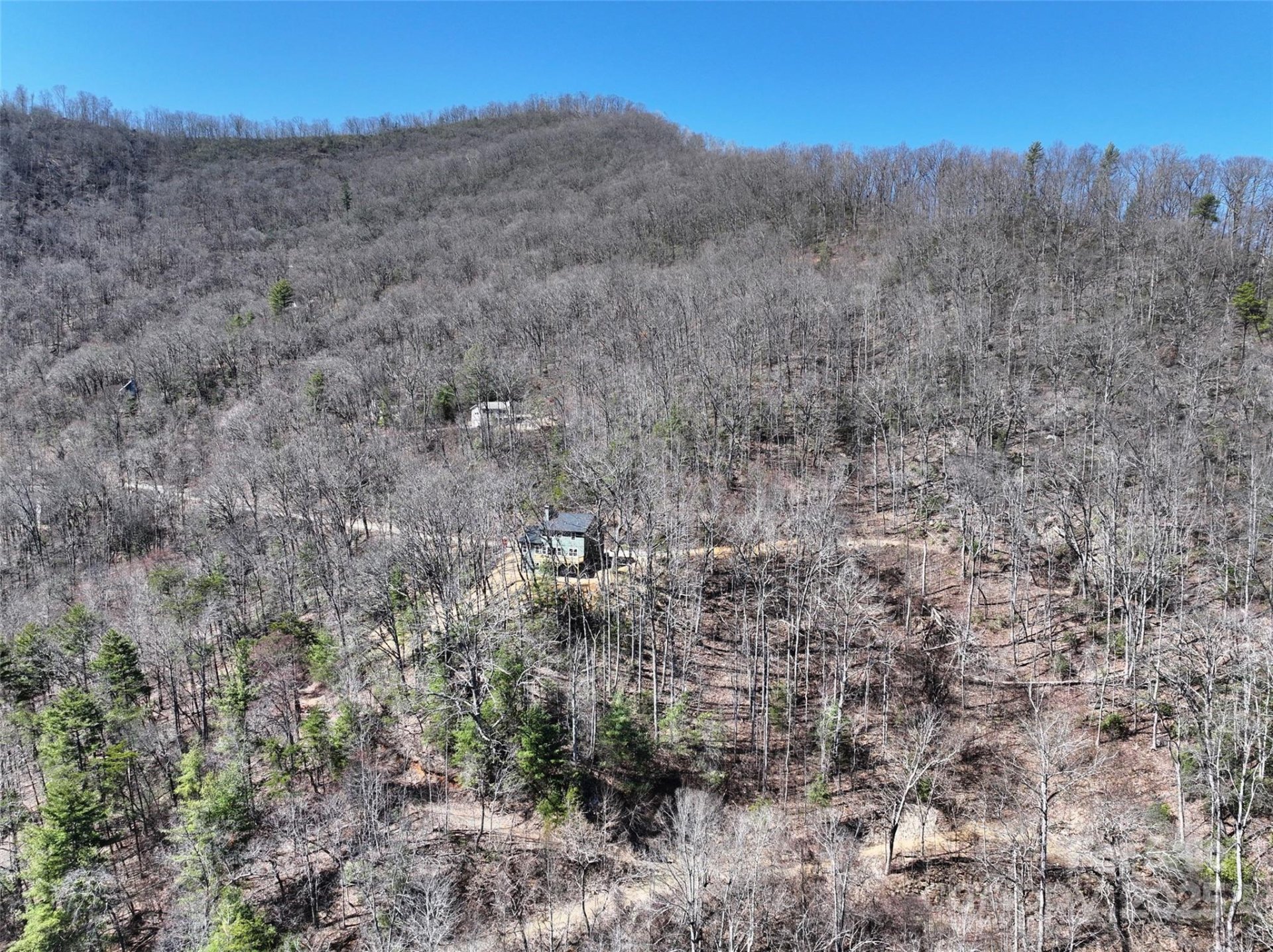 Property image 3 at 11 Taryn Trace, Barnardsville, NC 28709