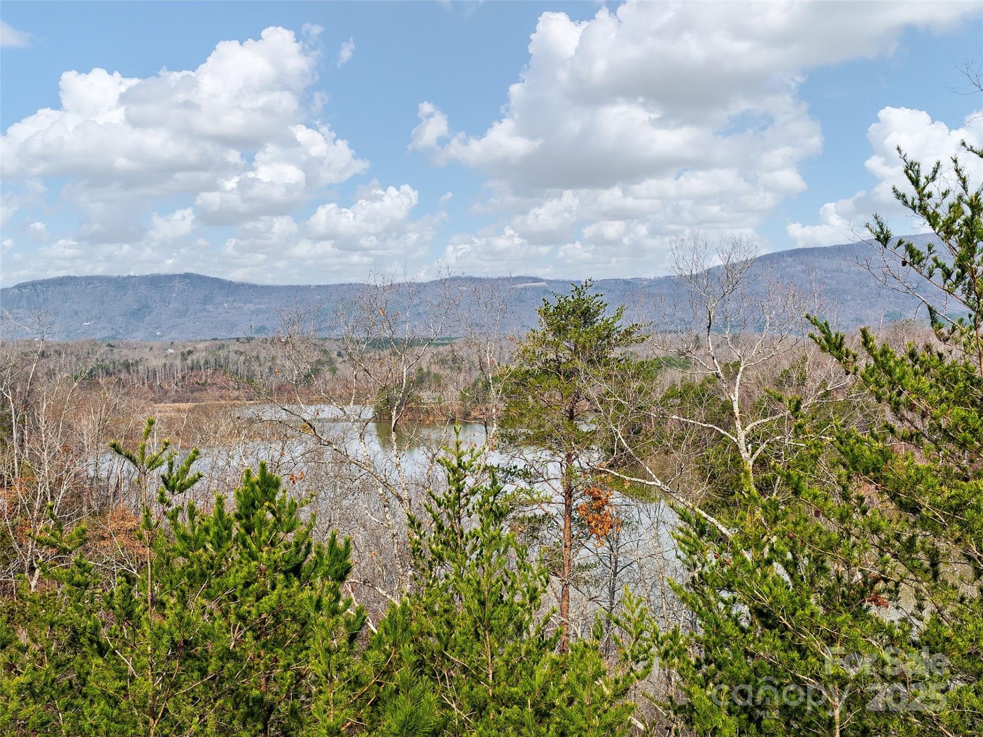 Property image 4 at Lot 63 Lake Adger Parkway, Mill Spring, NC 28756