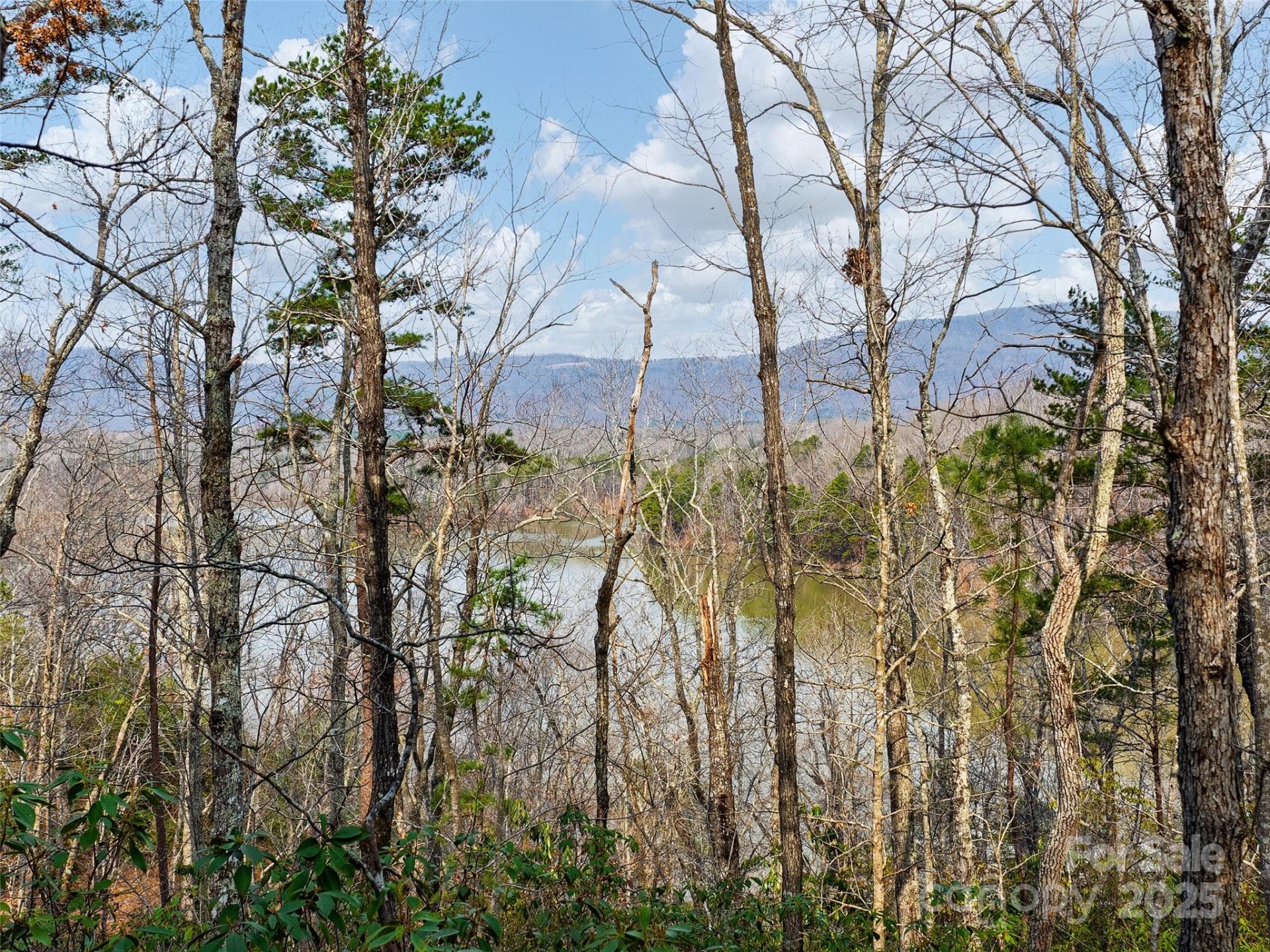 Property image 5 at Lot 63 Lake Adger Parkway, Mill Spring, NC 28756