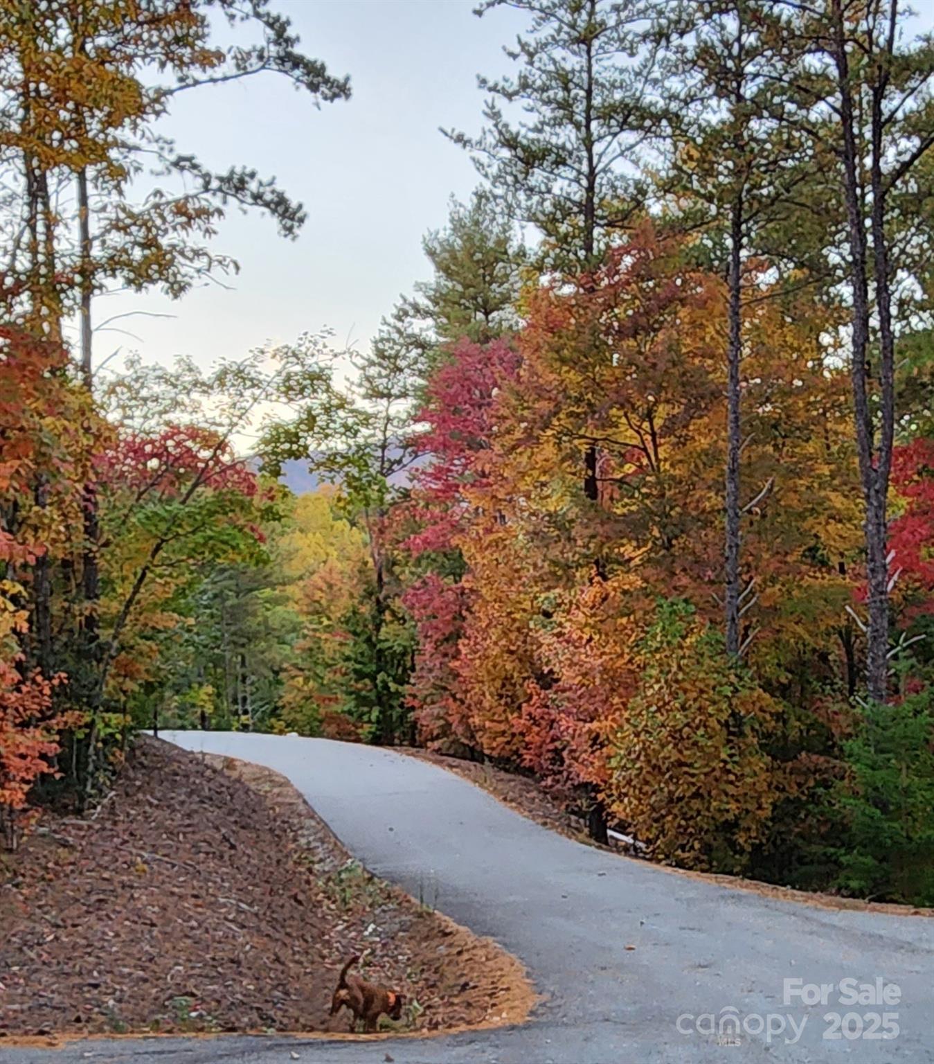 Property image 2 at 1600 Pisgah Preserve Drive, Nebo, NC 28761