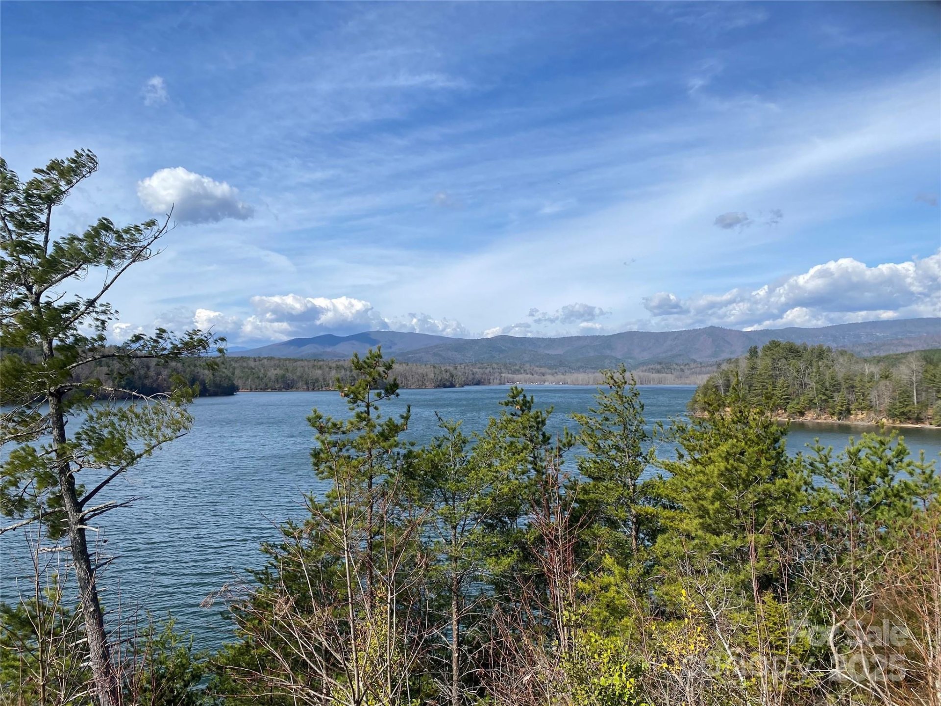 Property image 4 at 1600 Pisgah Preserve Drive, Nebo, NC 28761