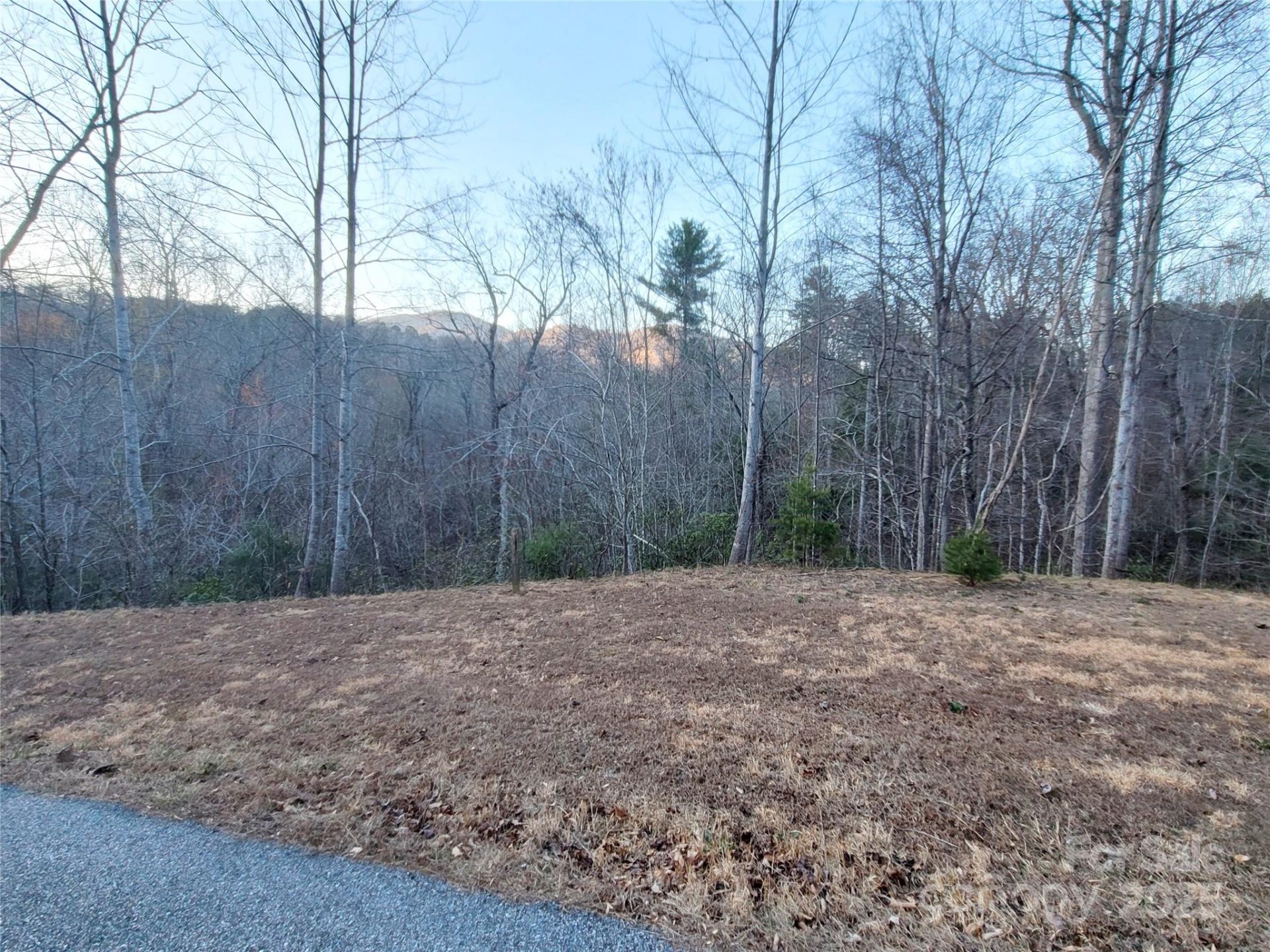 Property image 2 at 000 Clear Creek Trail, Lake Lure, NC 28746