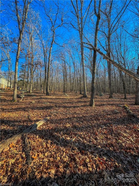 Property image 4 at 325 Rocky Cove Lane, Denton, NC 27239
