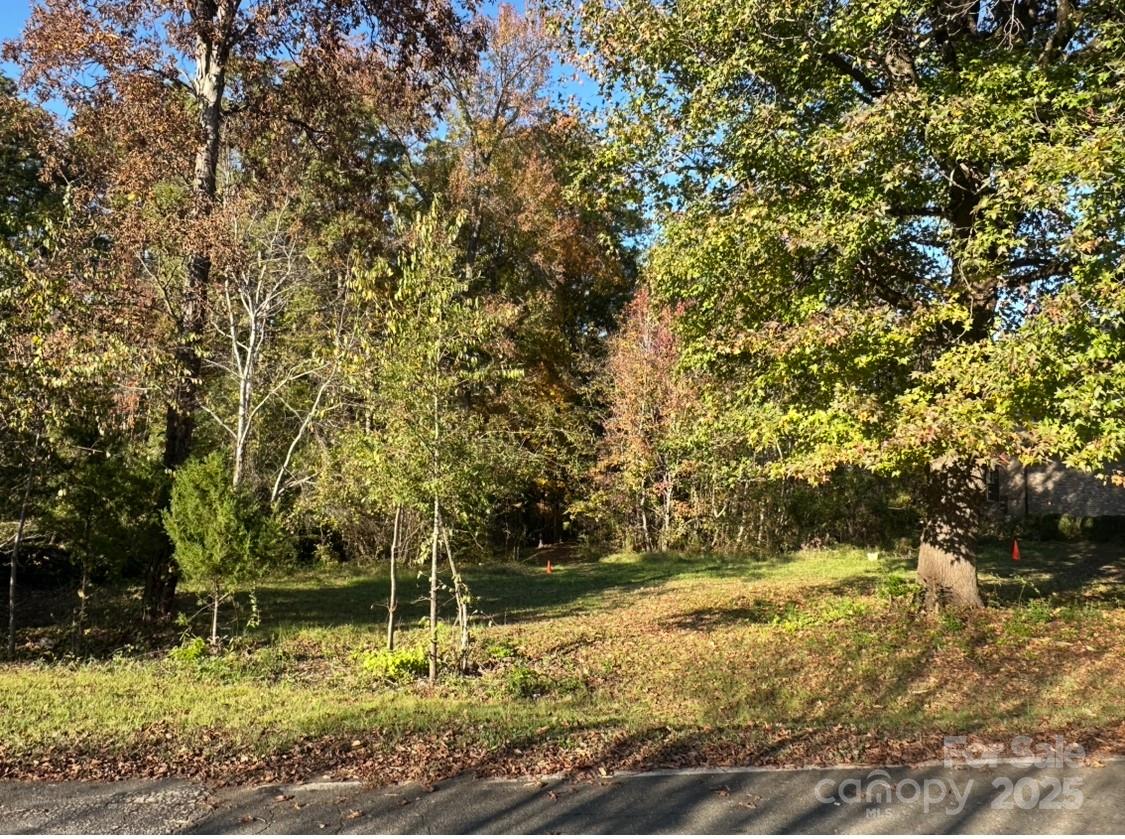 Property image 3 at 255 Heritage Boulevard, Fort Mill, SC 29715