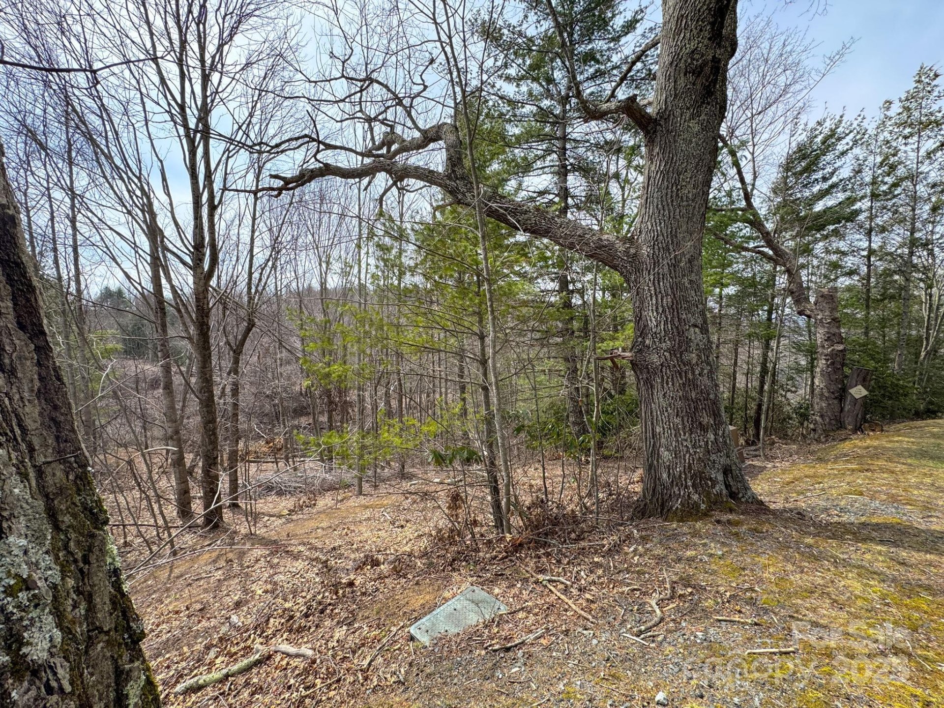 Property image 3 at 1 Falls Creek Parkway, Elk Park, NC 28622