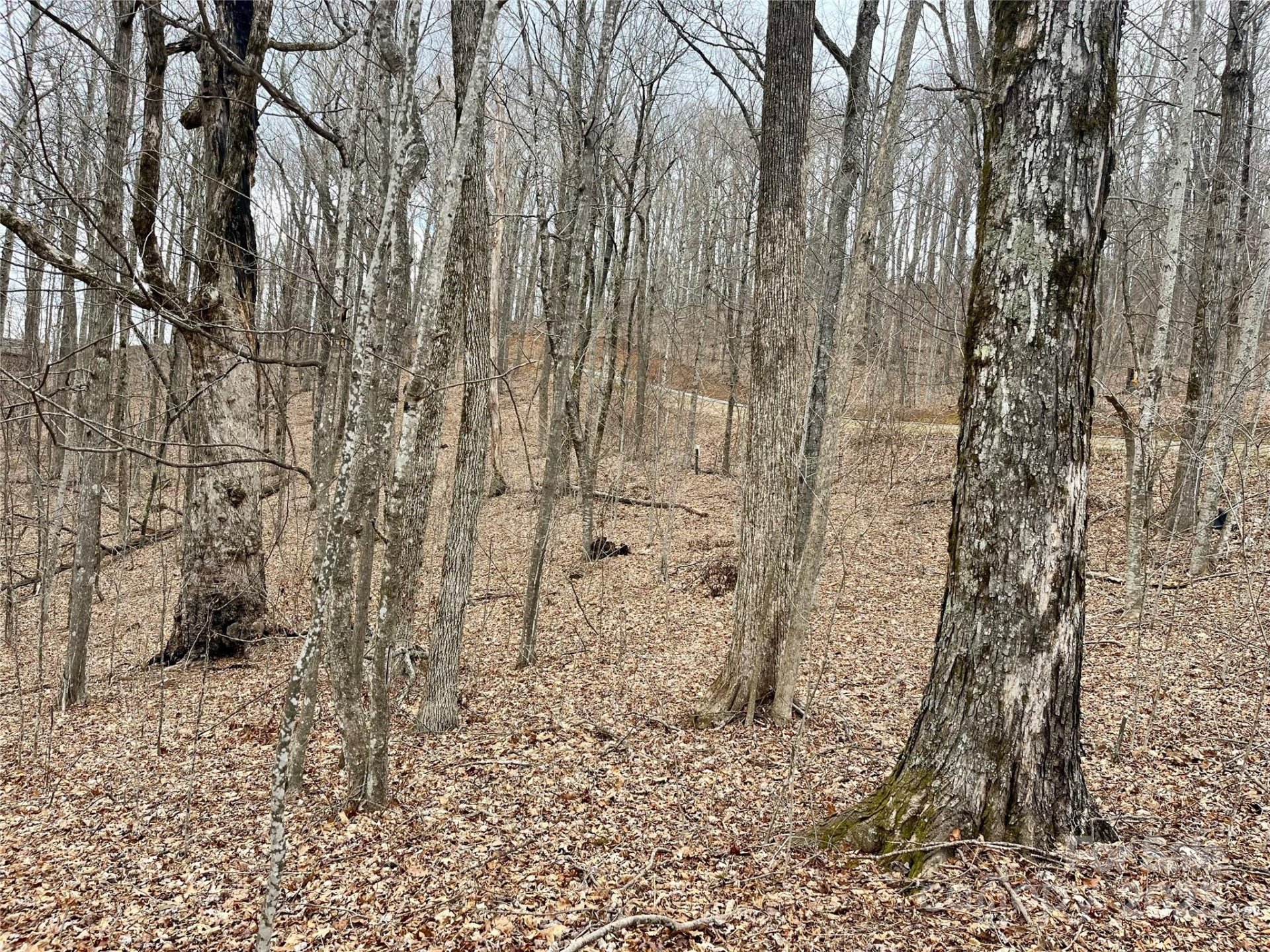 Property at Tbd Alderfly Court, Spruce Pine, NC 28777