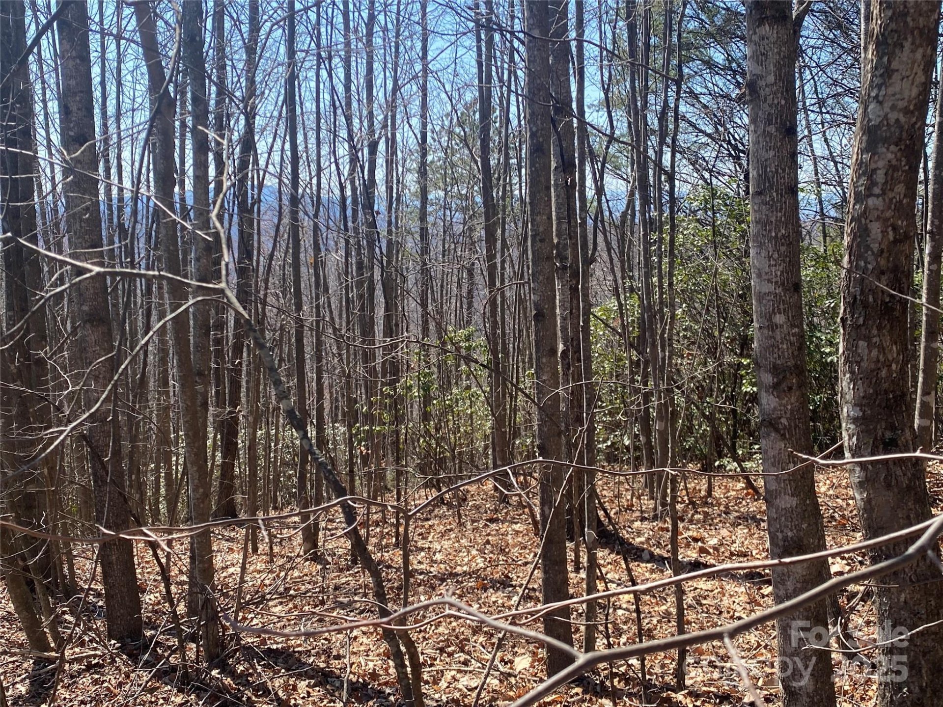 Property image 4 at Lot 72 Mountain Crest Drive, Marion, NC 28752