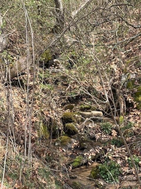 Property at 25 Green Meadow Lane, Mars Hill, NC 28754