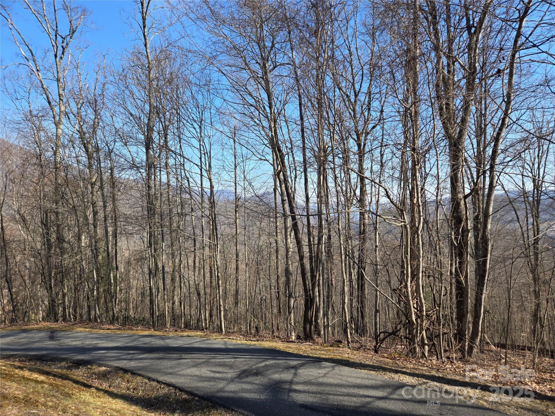 Property image 4 at Lot 18 Echo Ridge, Maggie Valley, NC 28751