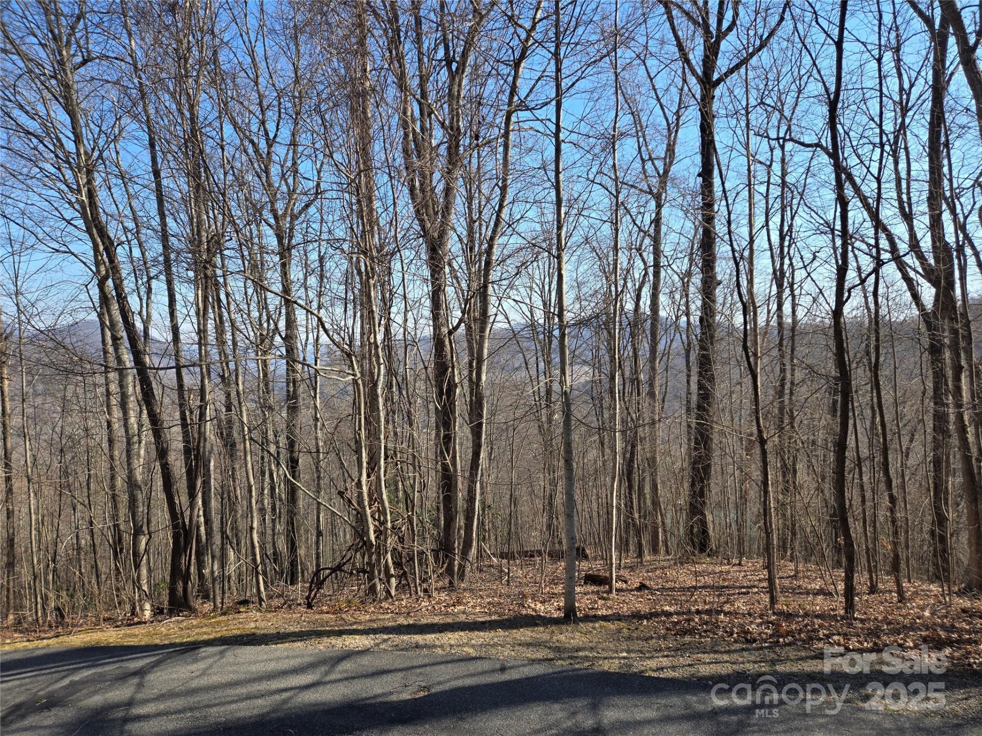 Property image 5 at Lot 18 Echo Ridge, Maggie Valley, NC 28751