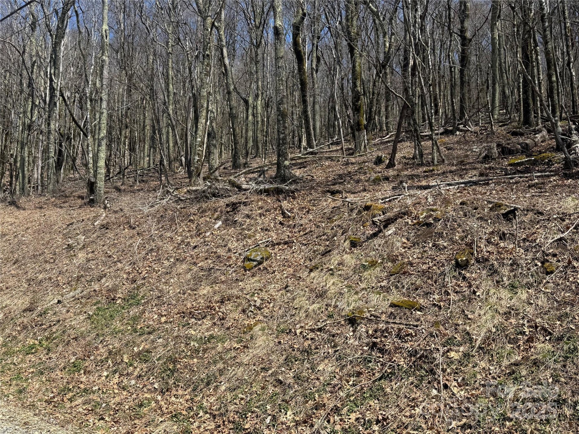 Property at 244 245 Grouse Thicket Lane, Mars Hill, NC 28754